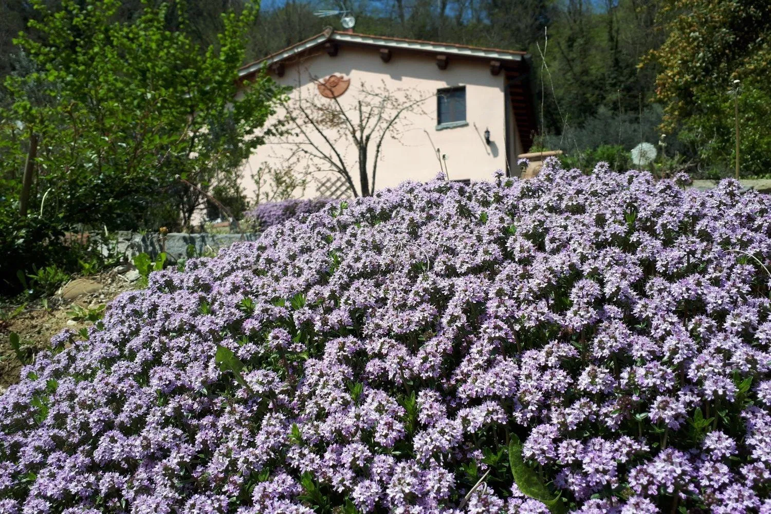 Property building in A'Loro B&B