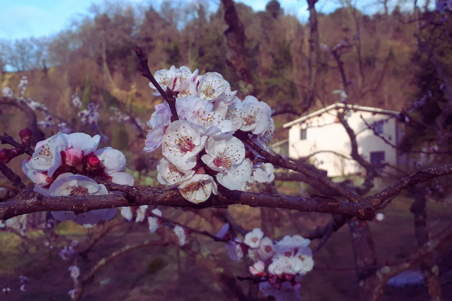 Property building in A'Loro B&B