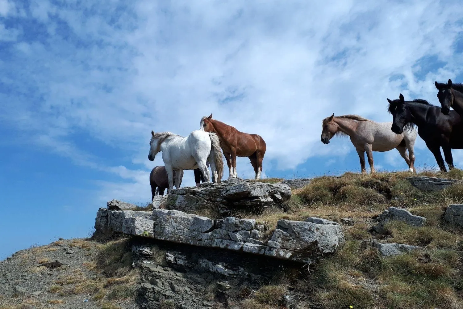 Nearby landmark in A'Loro B&B