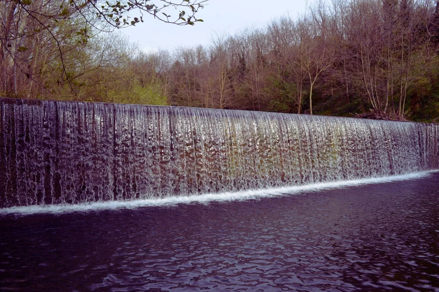 Natural landscape in A'Loro B&B