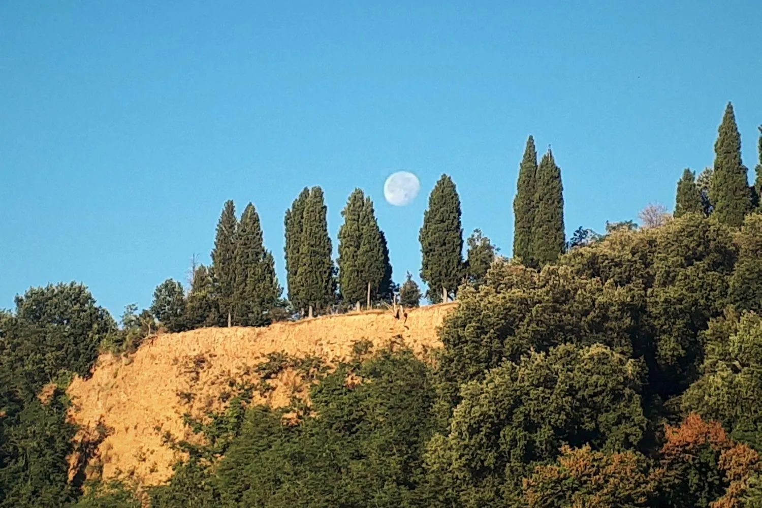 Natural landscape in A'Loro B&B
