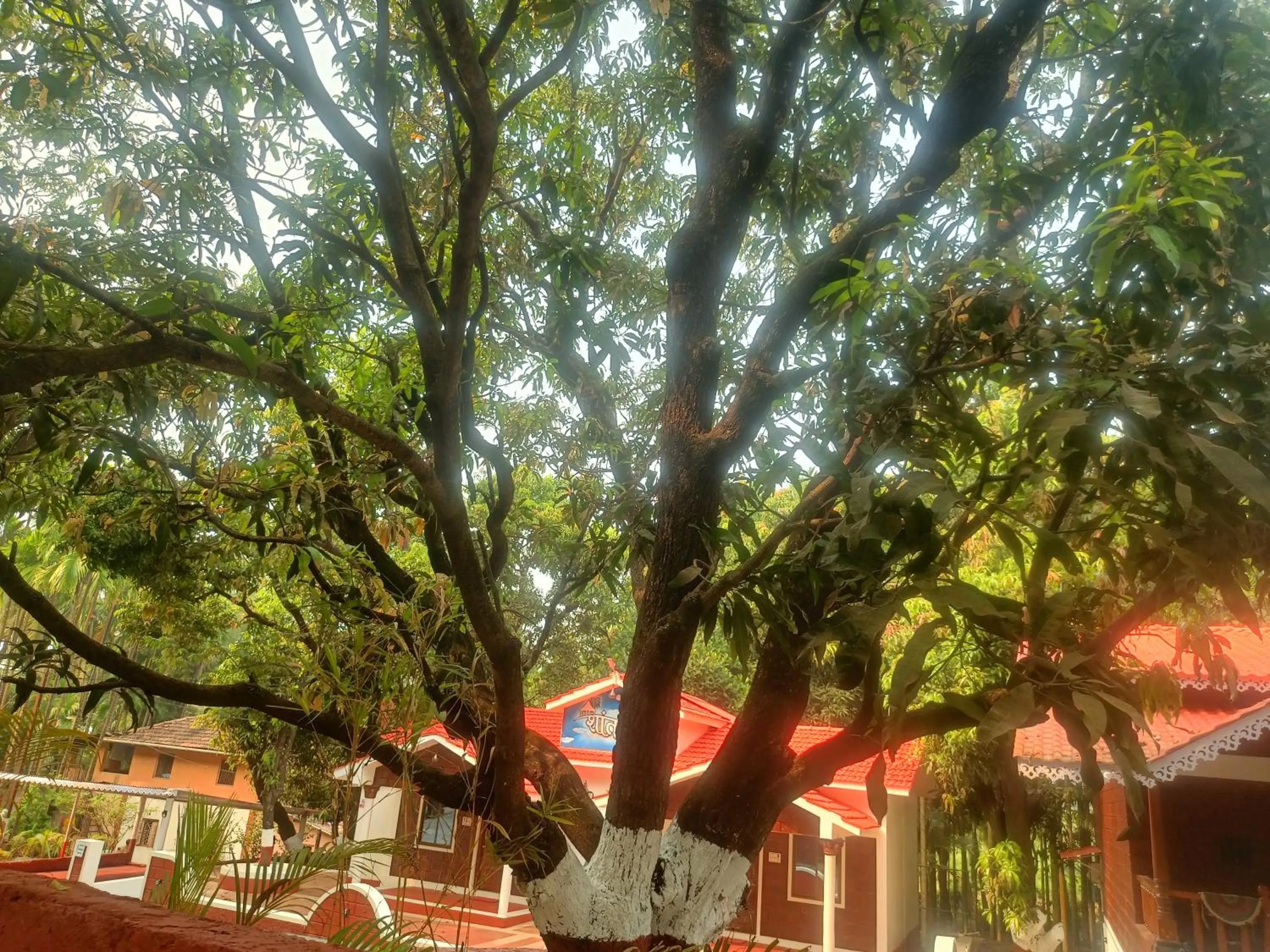 Shantadurga Beachside Homestay
