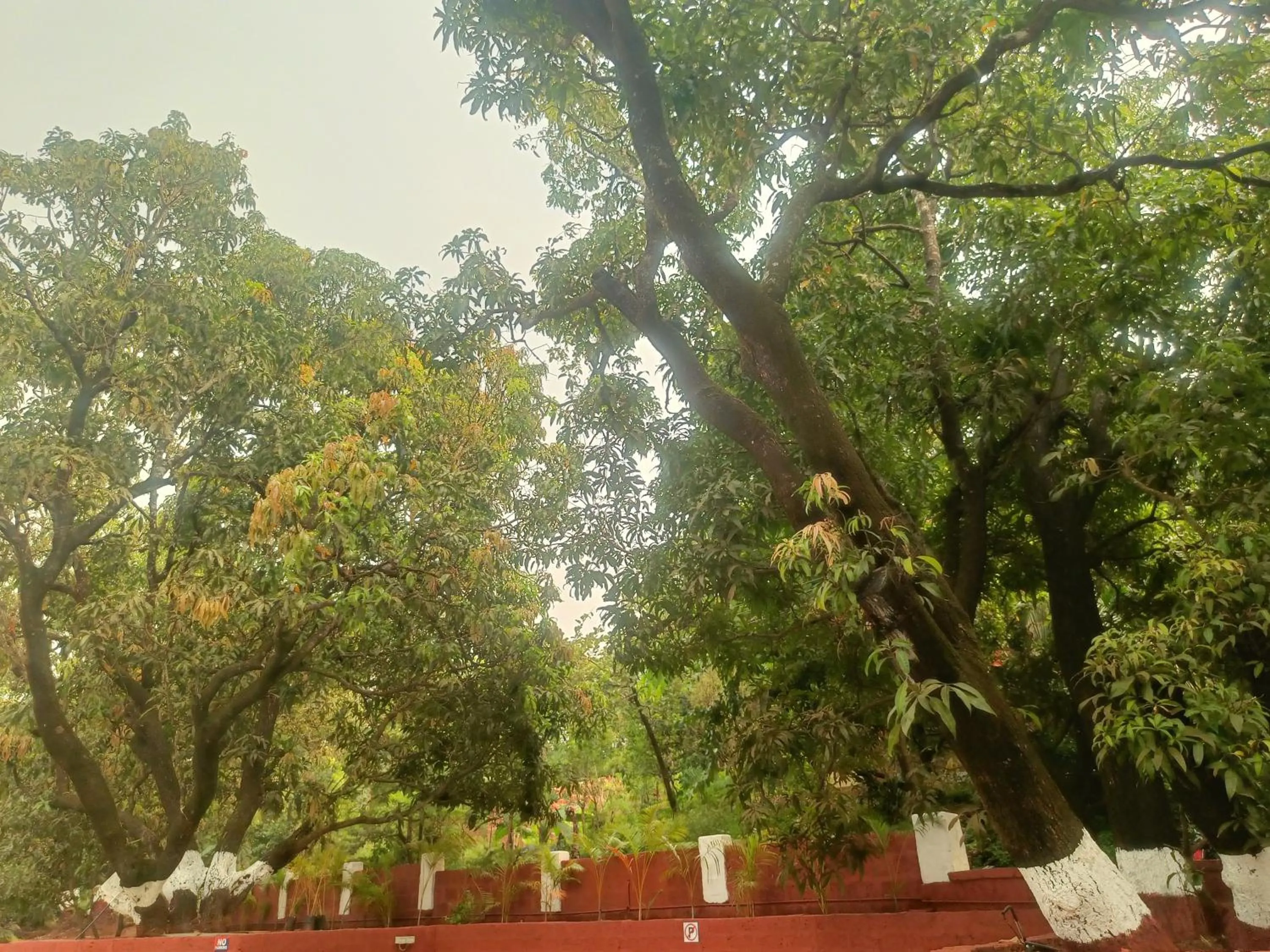 Shantadurga Beachside Homestay