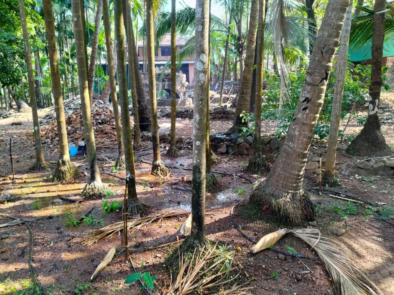 Shantadurga Beachside Homestay