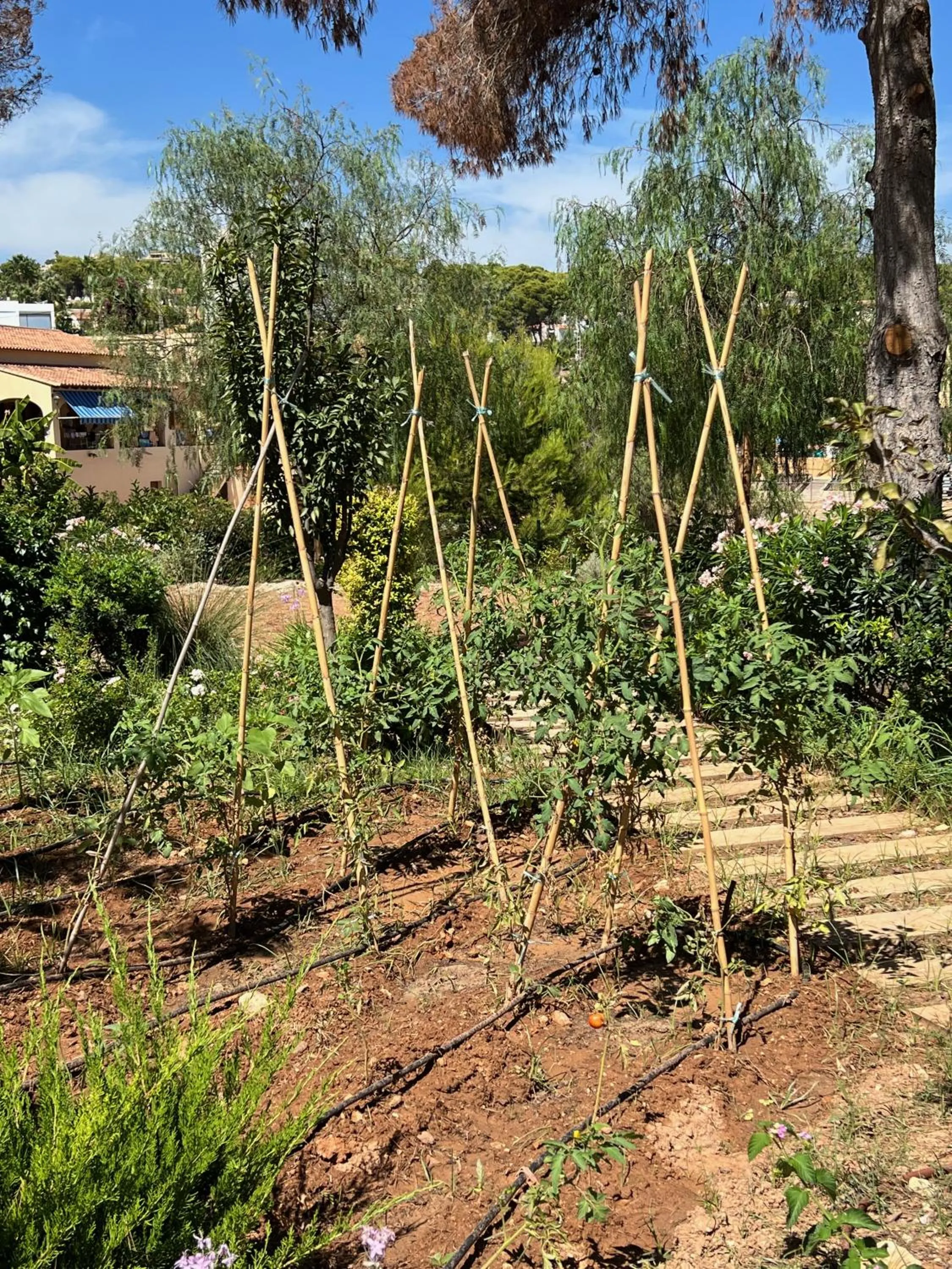 Garden in Hotel Serawa Moraira