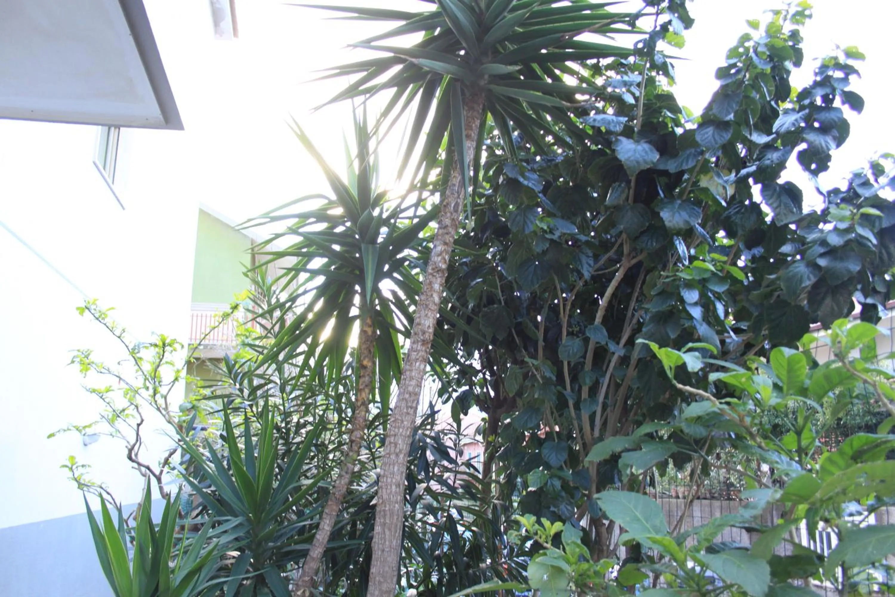 Property building in B&B Mimosa