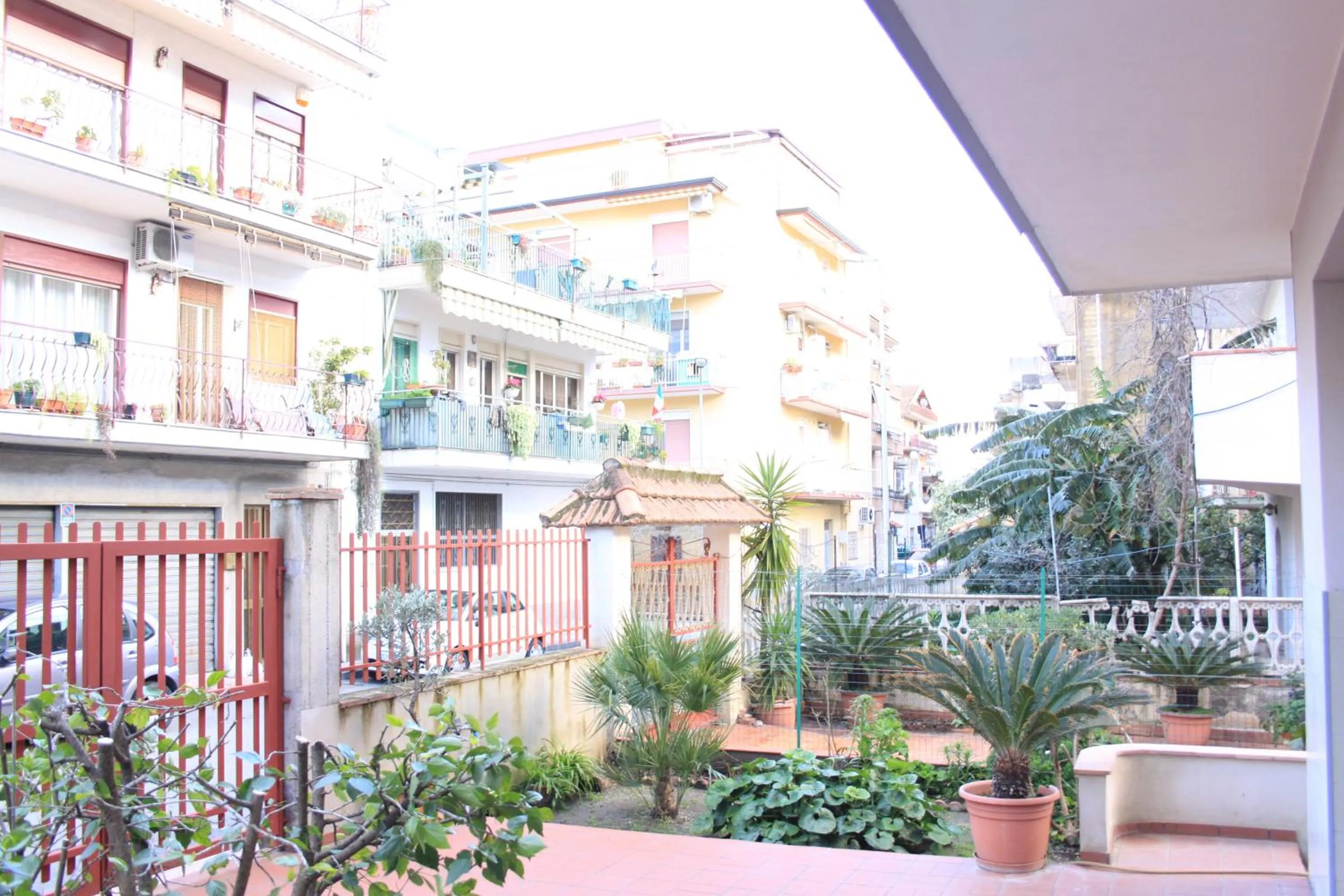 Garden in B&B Mimosa