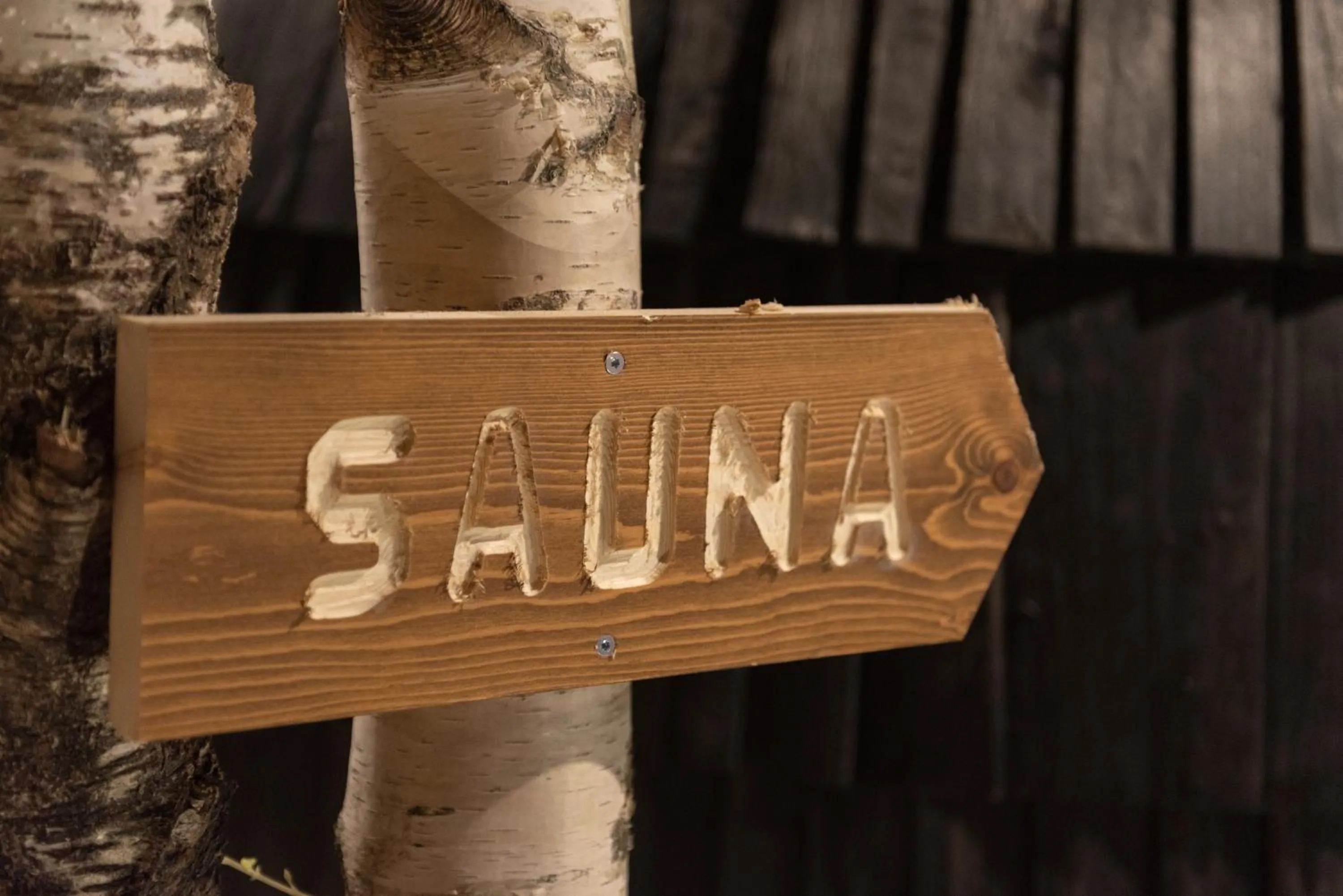 Al Fogolâr Rooms & Osteria with Saunaland