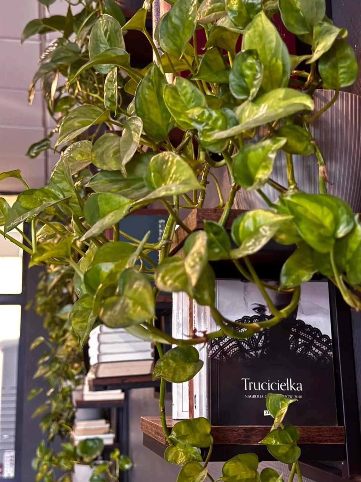 Lobby or reception in Economy Silesian Hotel