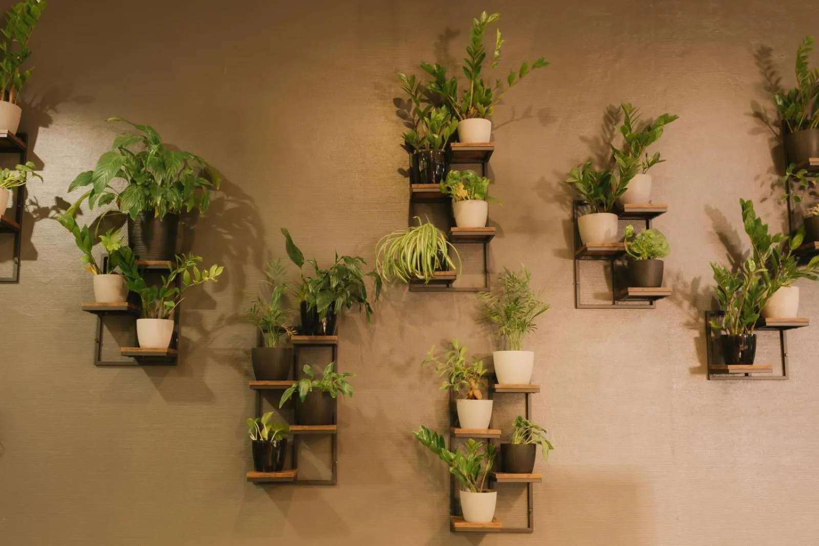 Economy Silesian Hotel