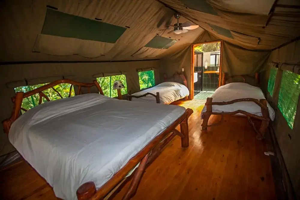 Deluxe King Room in Rafiki Safari Lodge Deluxe King Room in Rafiki Safari Lodge