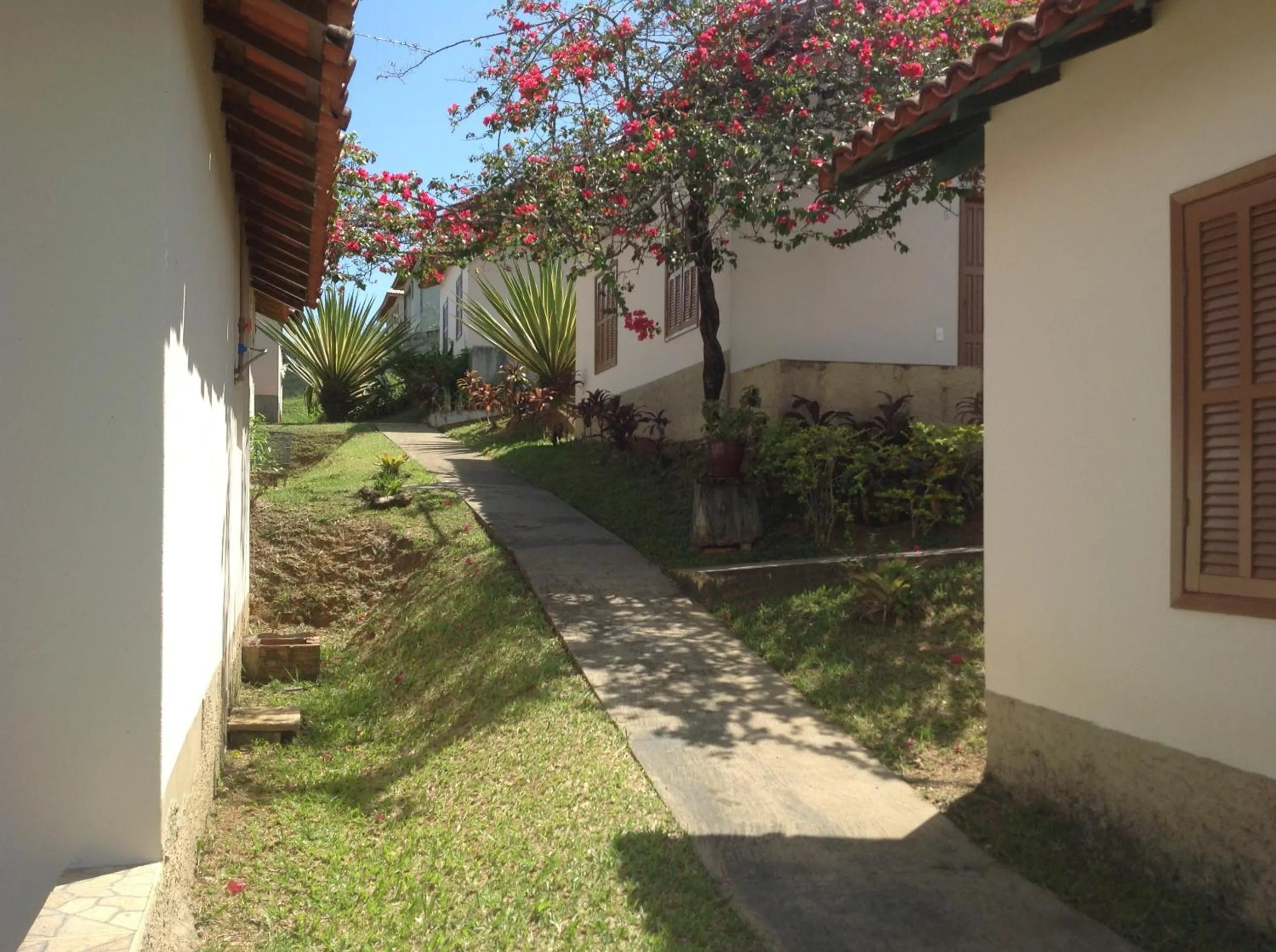 Garden in Maison Clapp