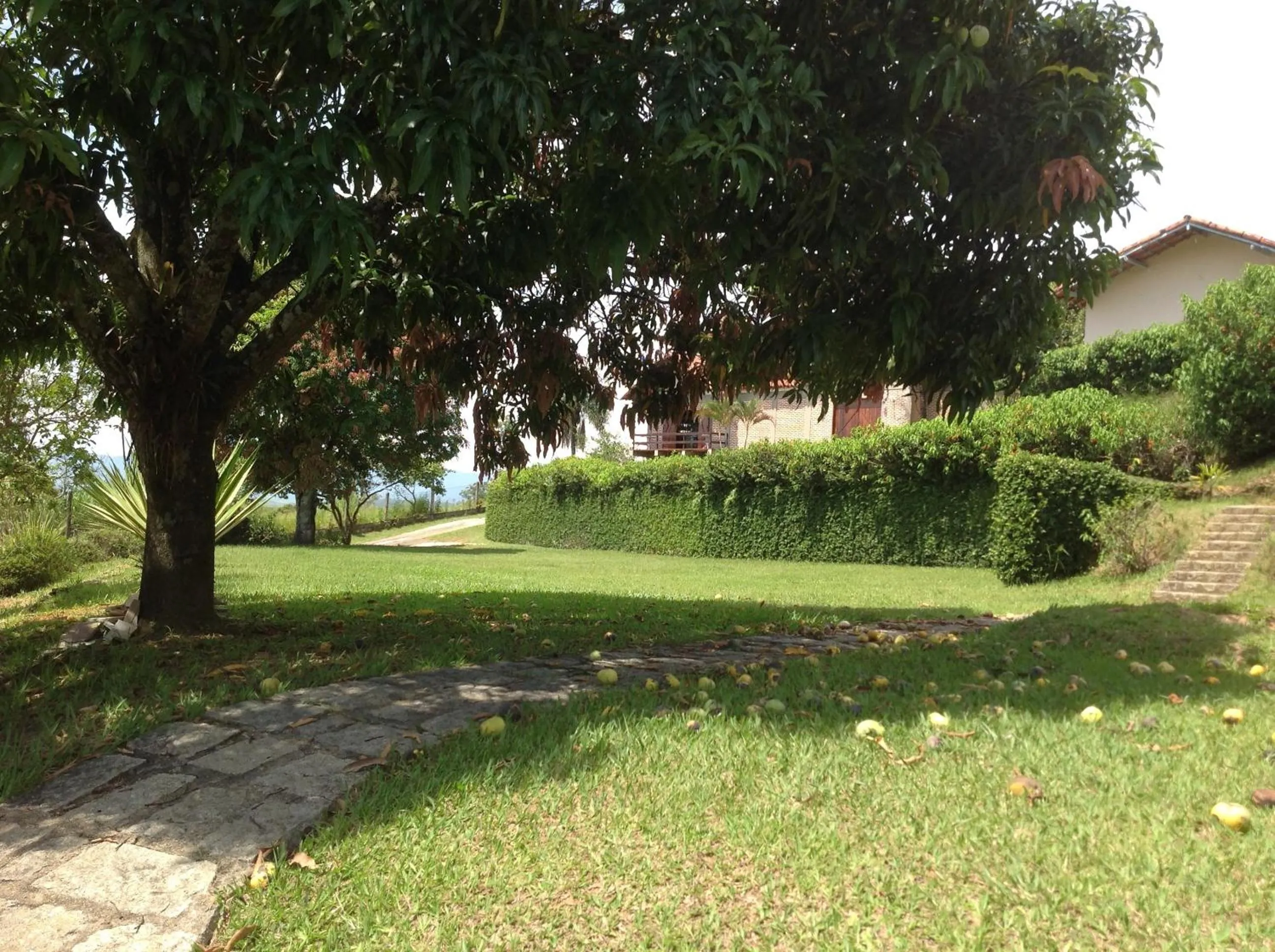 Garden in Maison Clapp