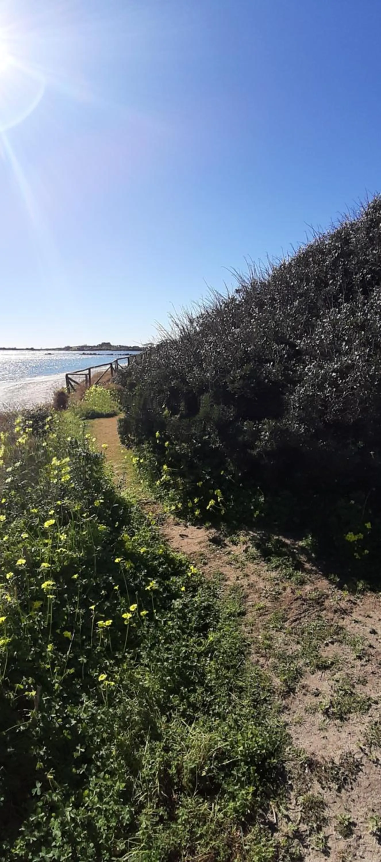 Natural landscape in Villamereu