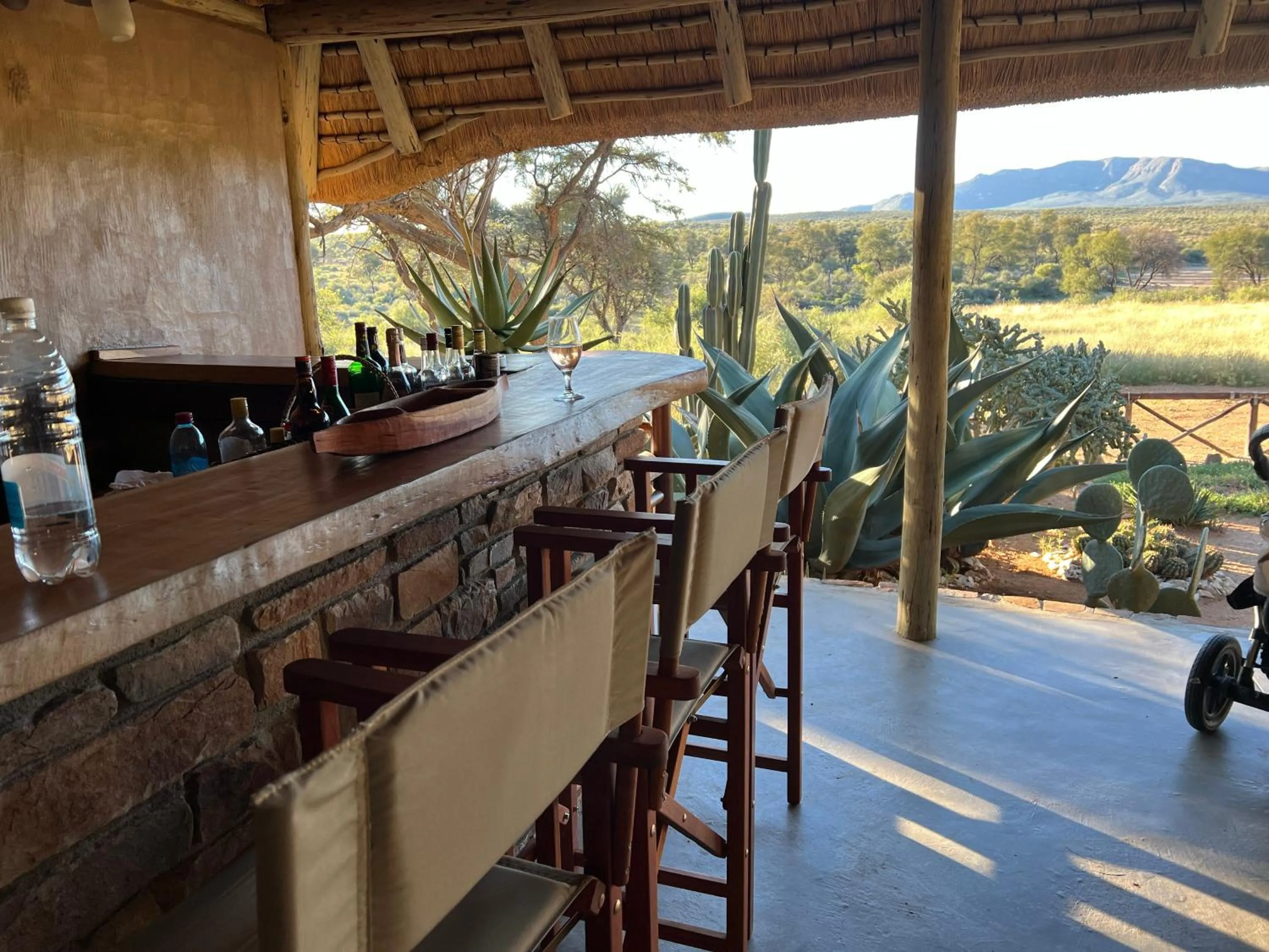 Lounge or bar in Hohewarte Guestfarm