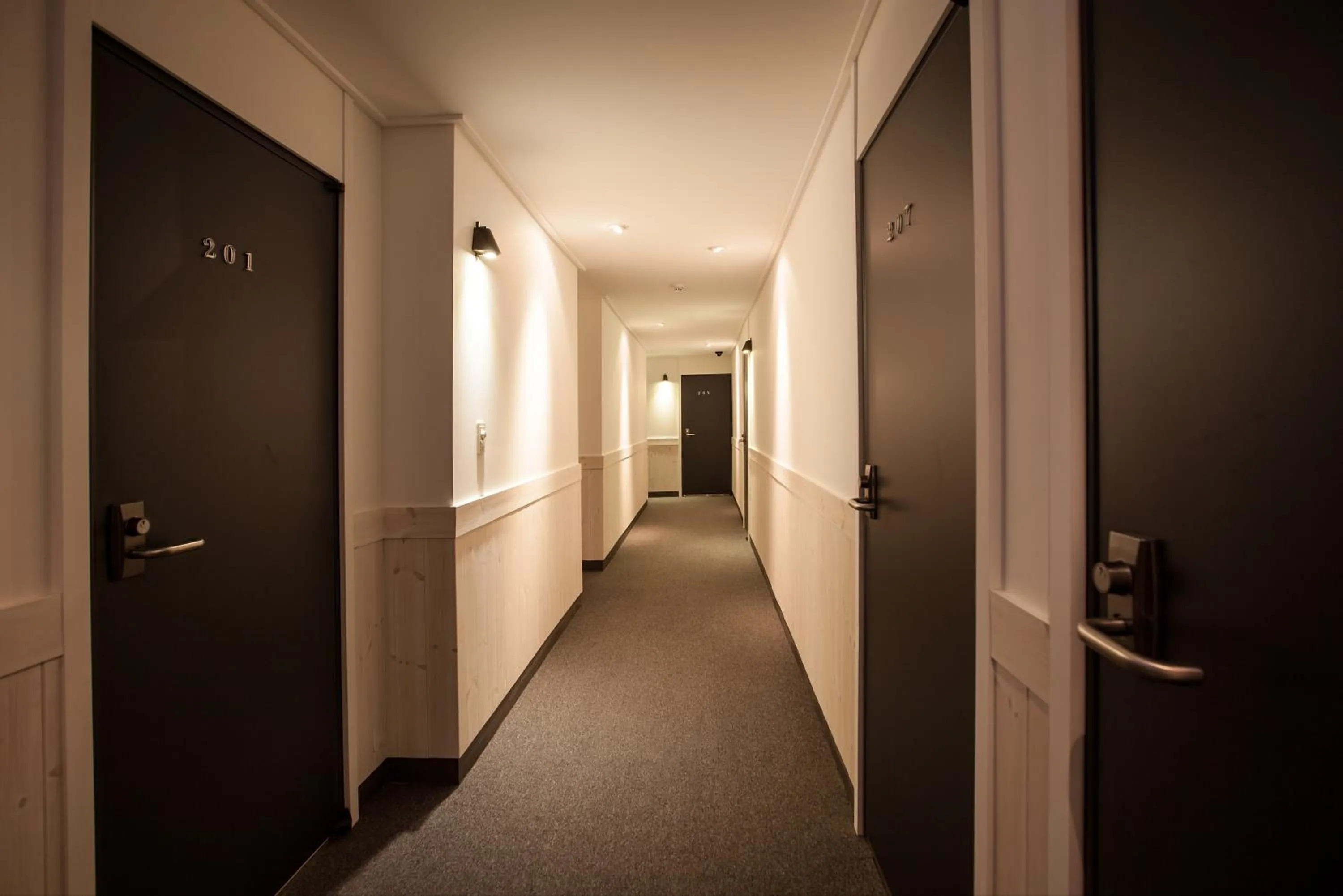 Other in Petercat Hotel Shinchon