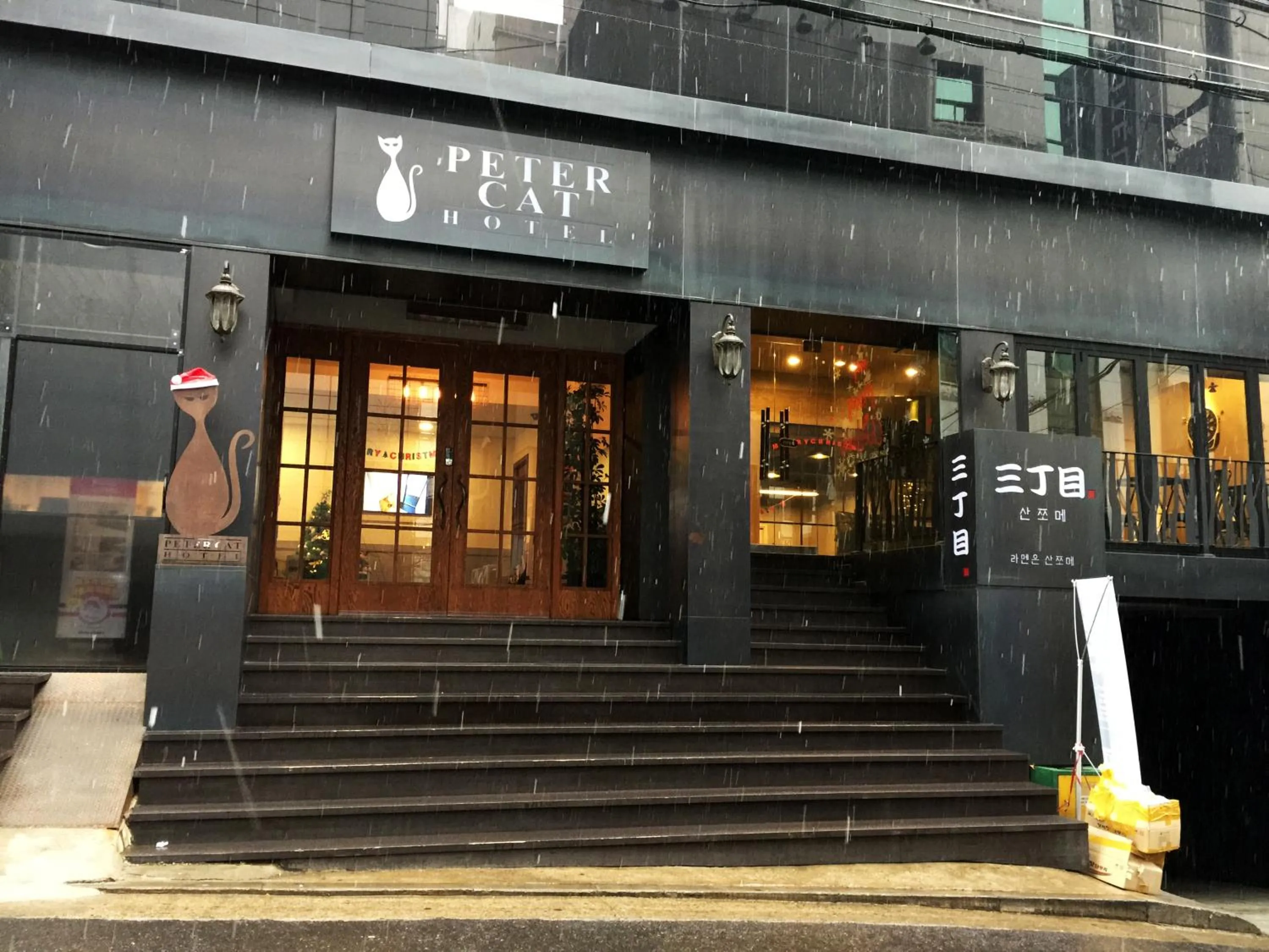 Facade/entrance in Petercat Hotel Shinchon