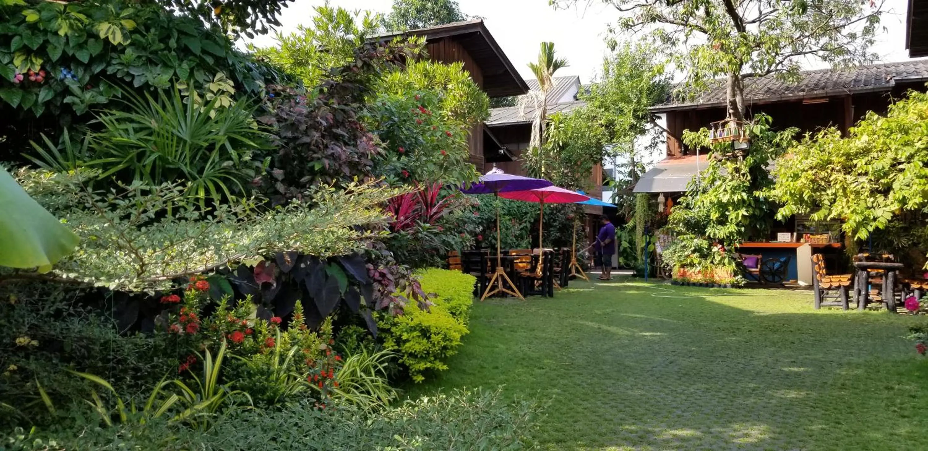 Garden in Siriwan Hostel