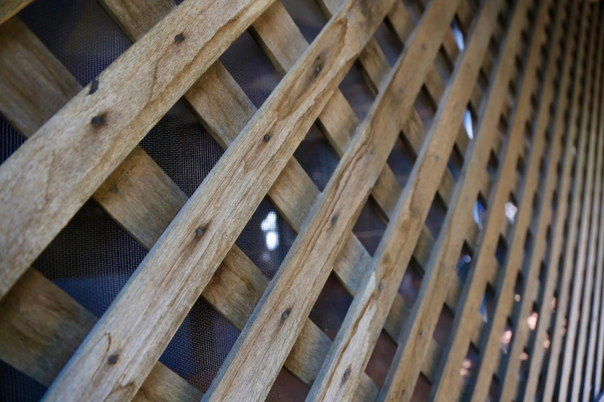 Property building in Siriwan Hostel