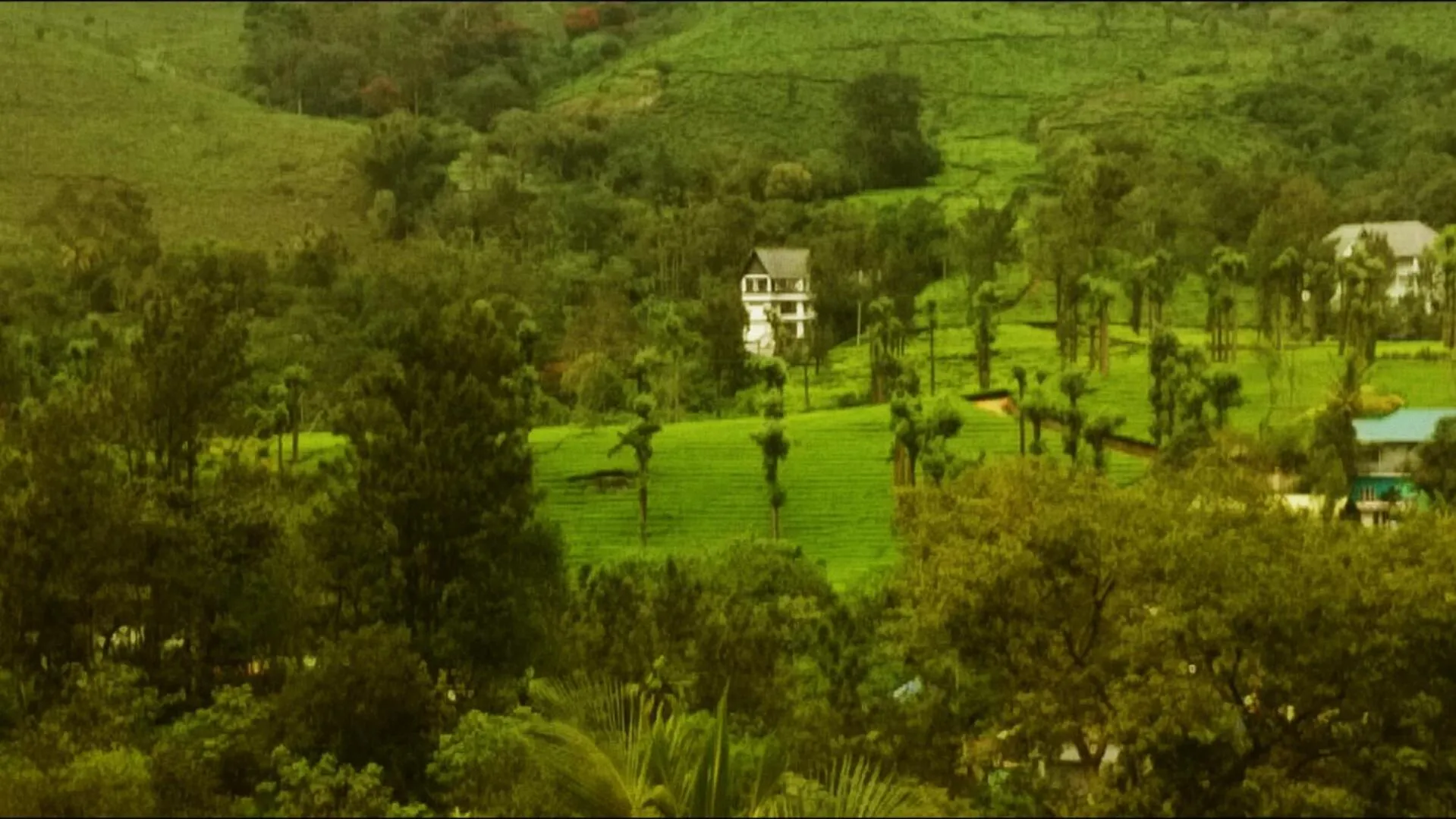 View (from property/room) in Gokulam Park Munnar