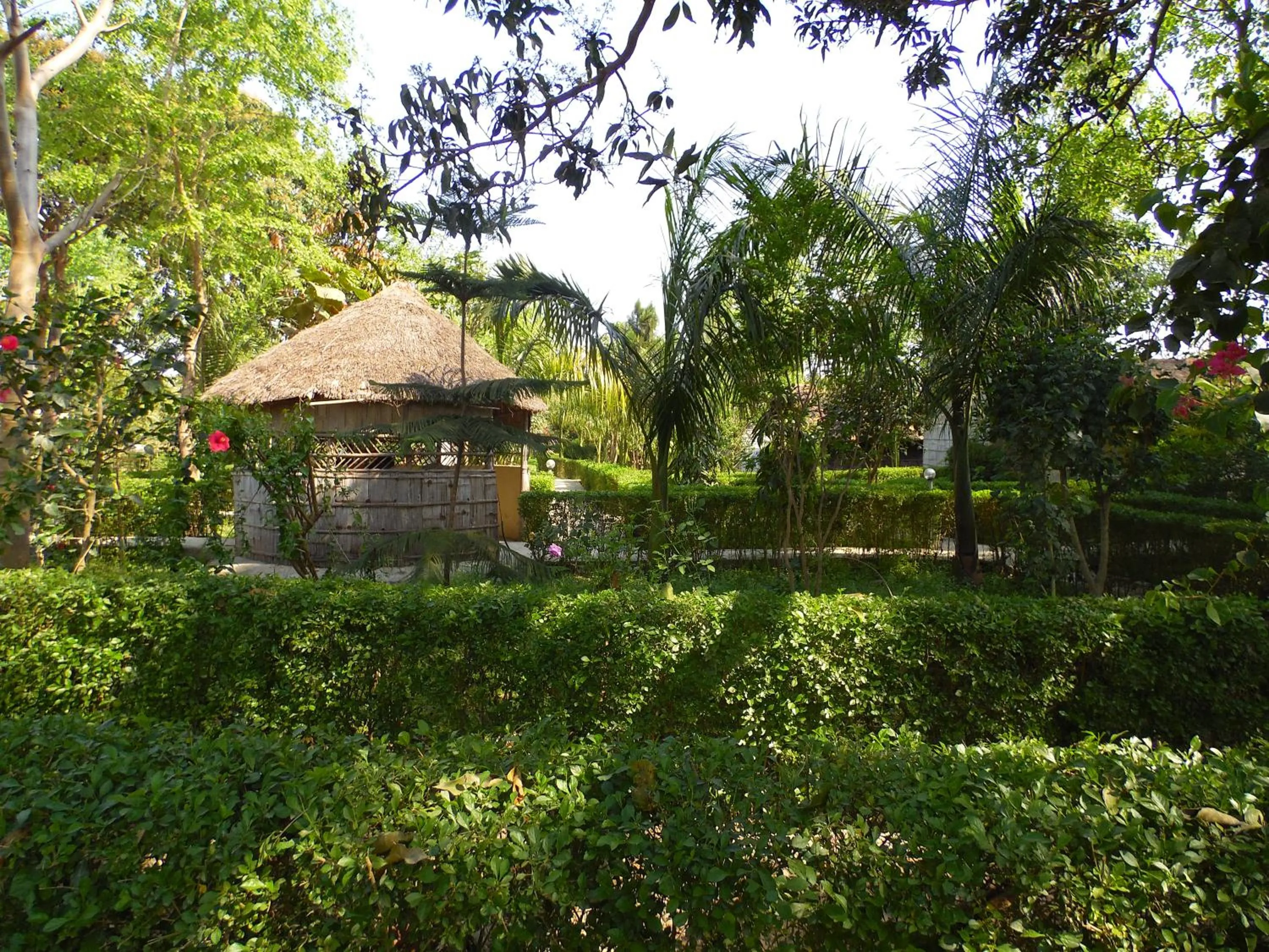 Garden view in Bardia Kingfisher Resort