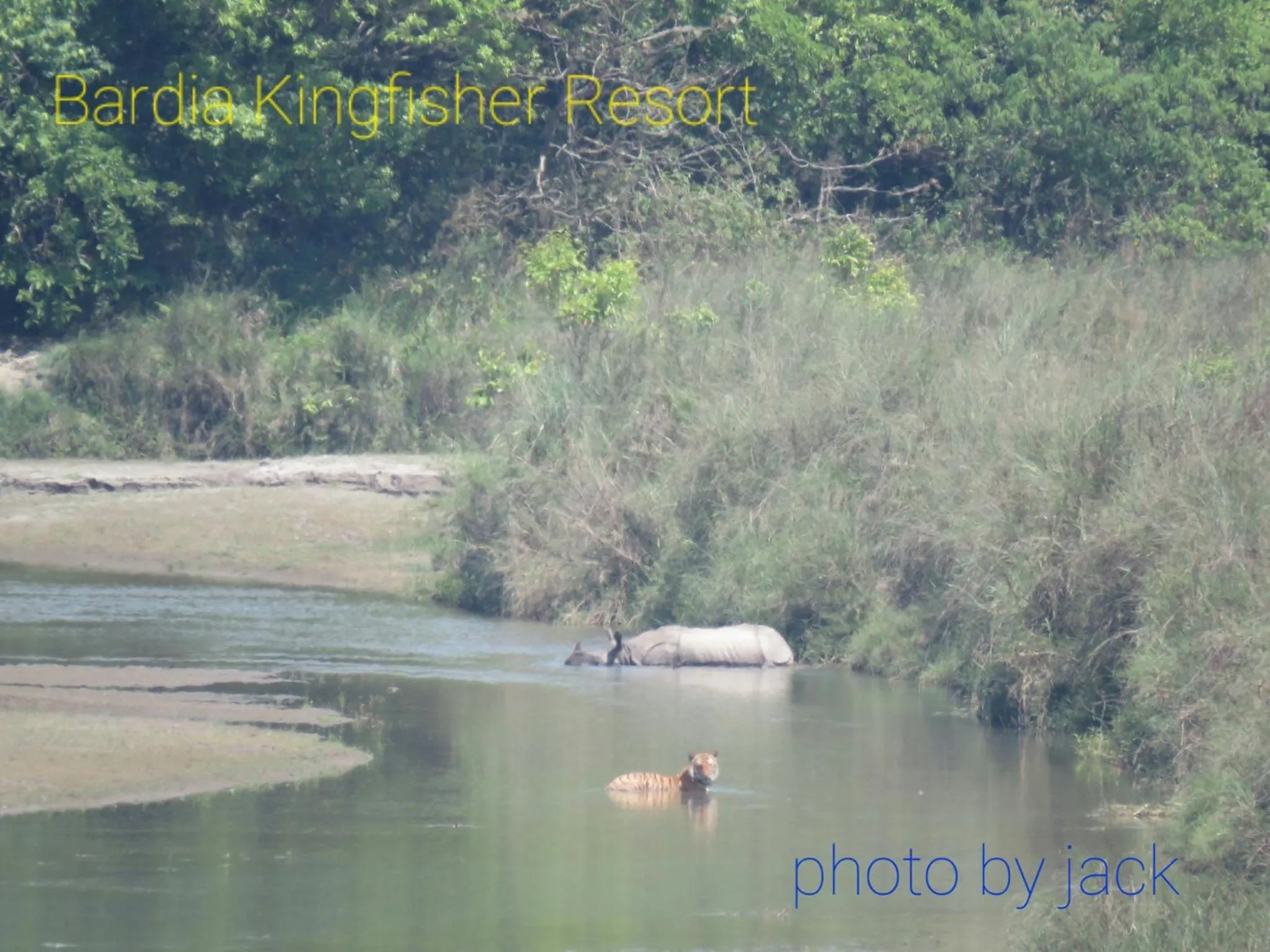 Animals in Bardia Kingfisher Resort