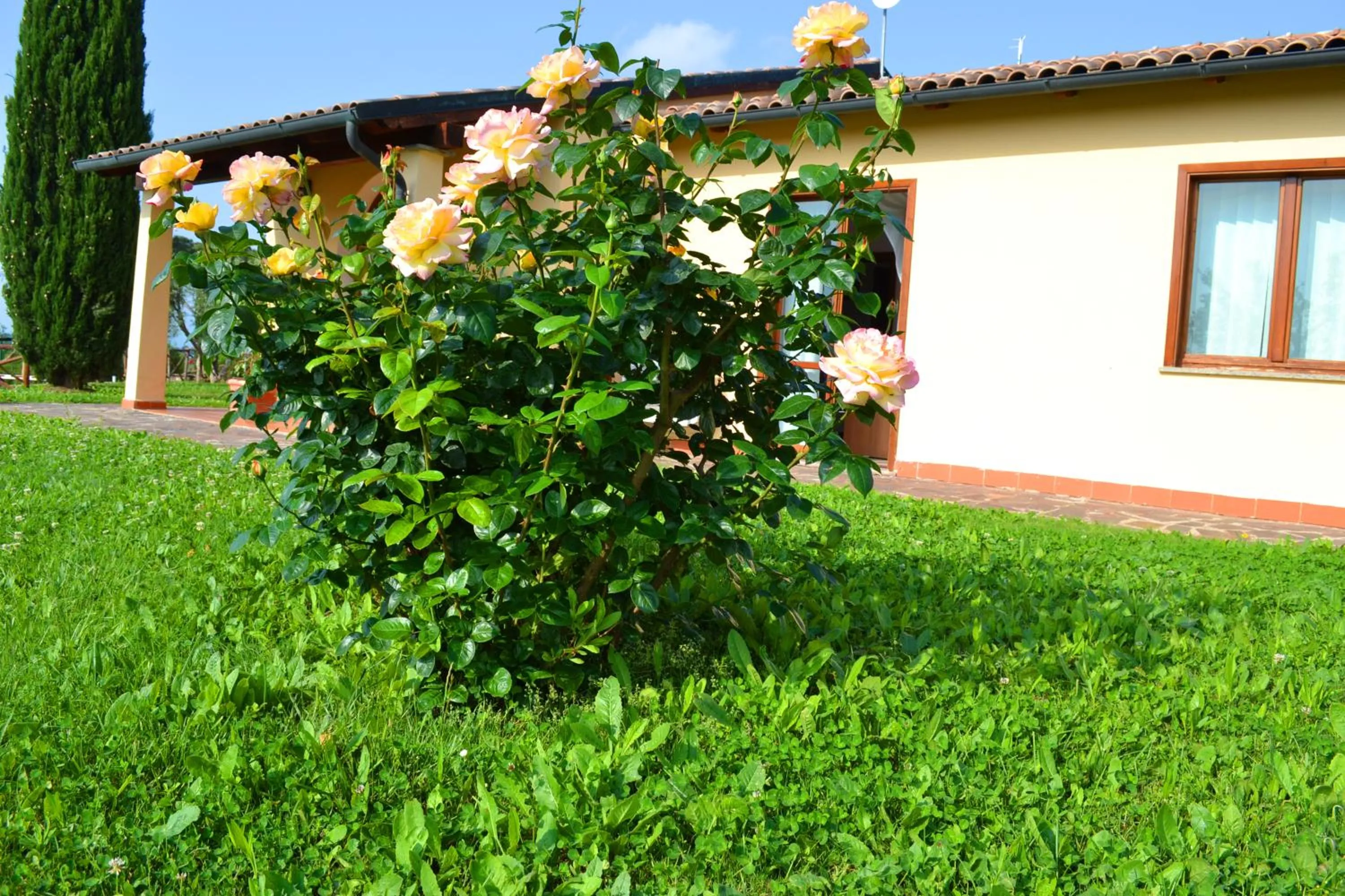 Garden view in Le Corti Di Montepitti