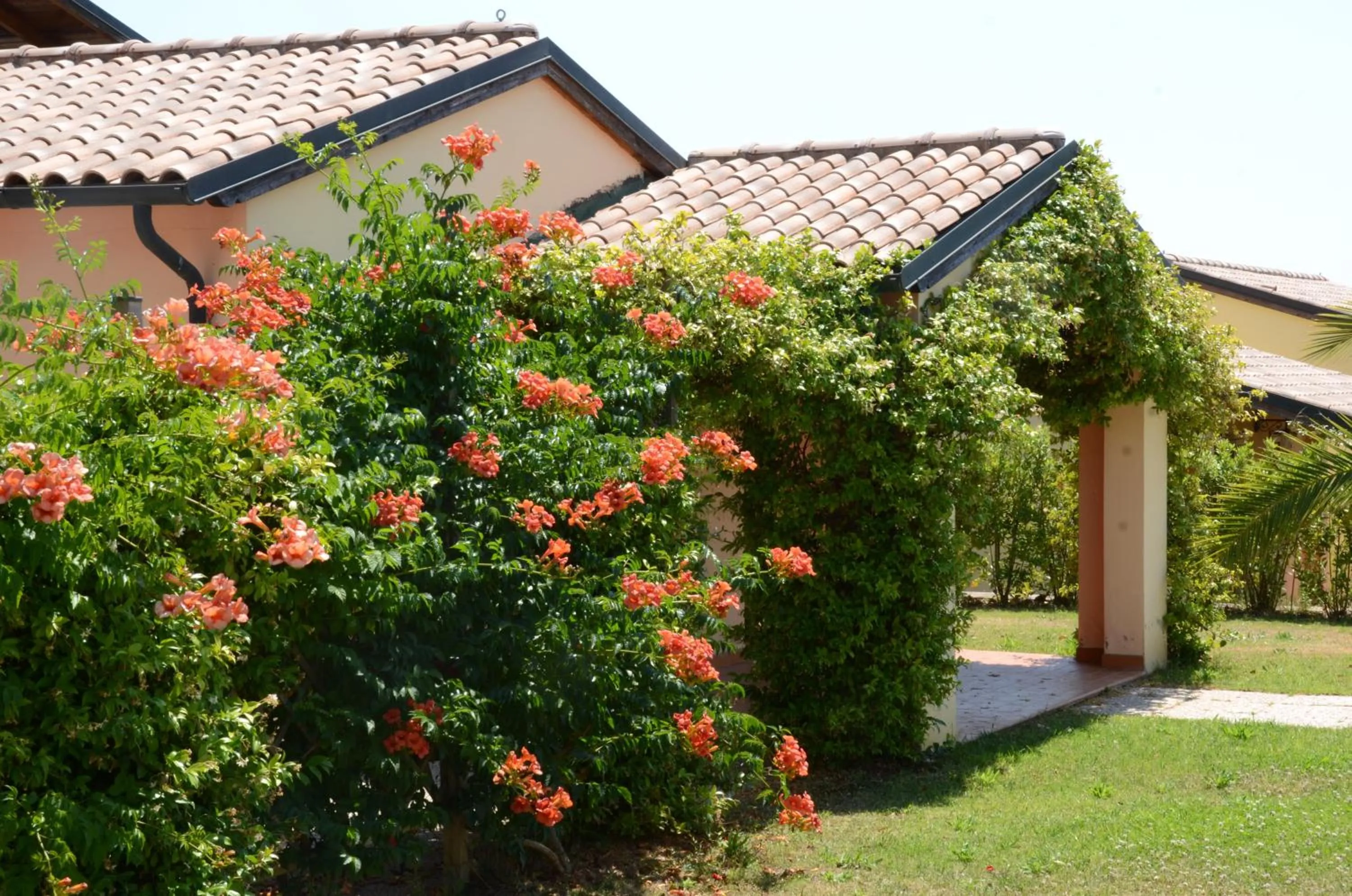 Facade/entrance in Le Corti Di Montepitti