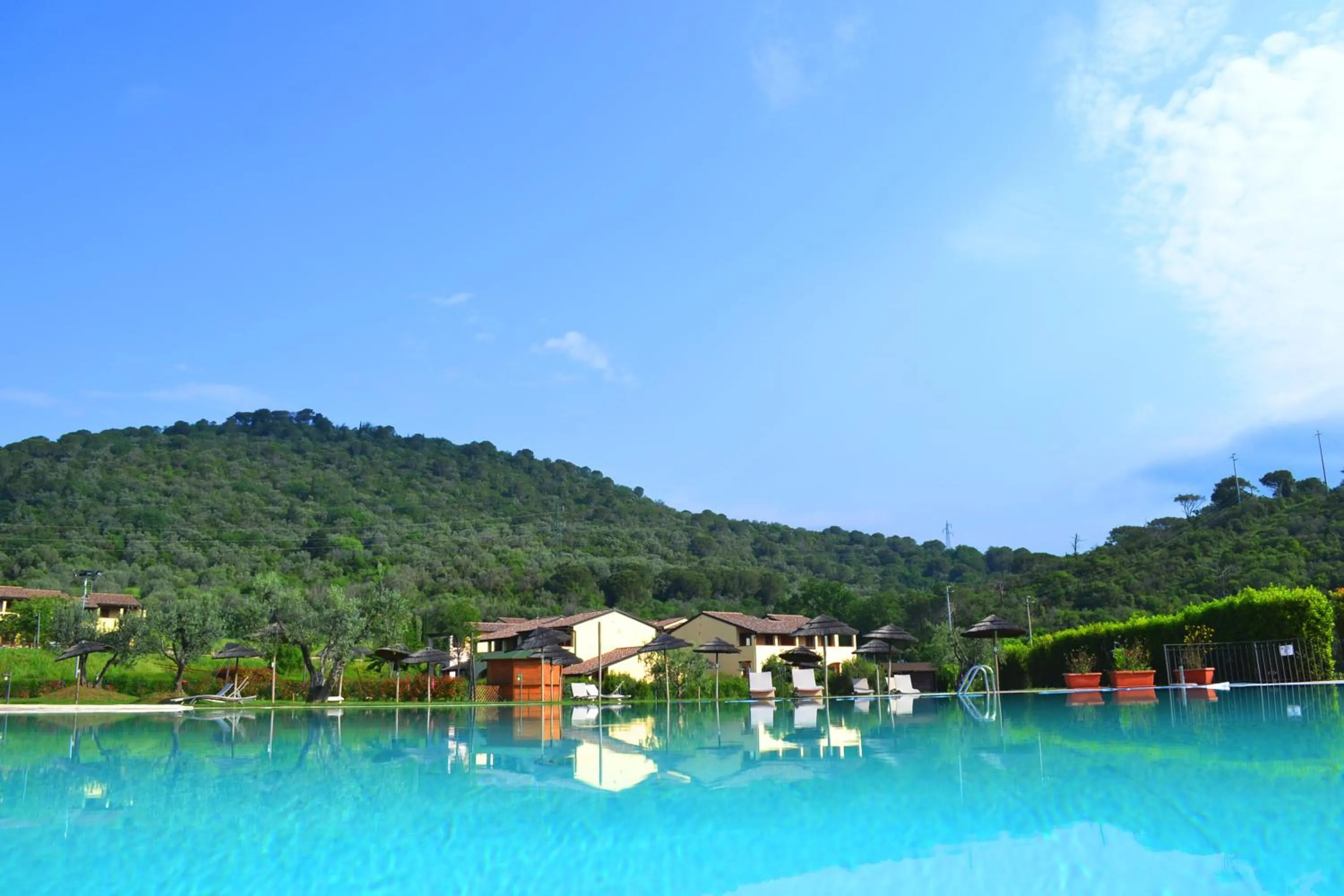 Pool view in Le Corti Di Montepitti