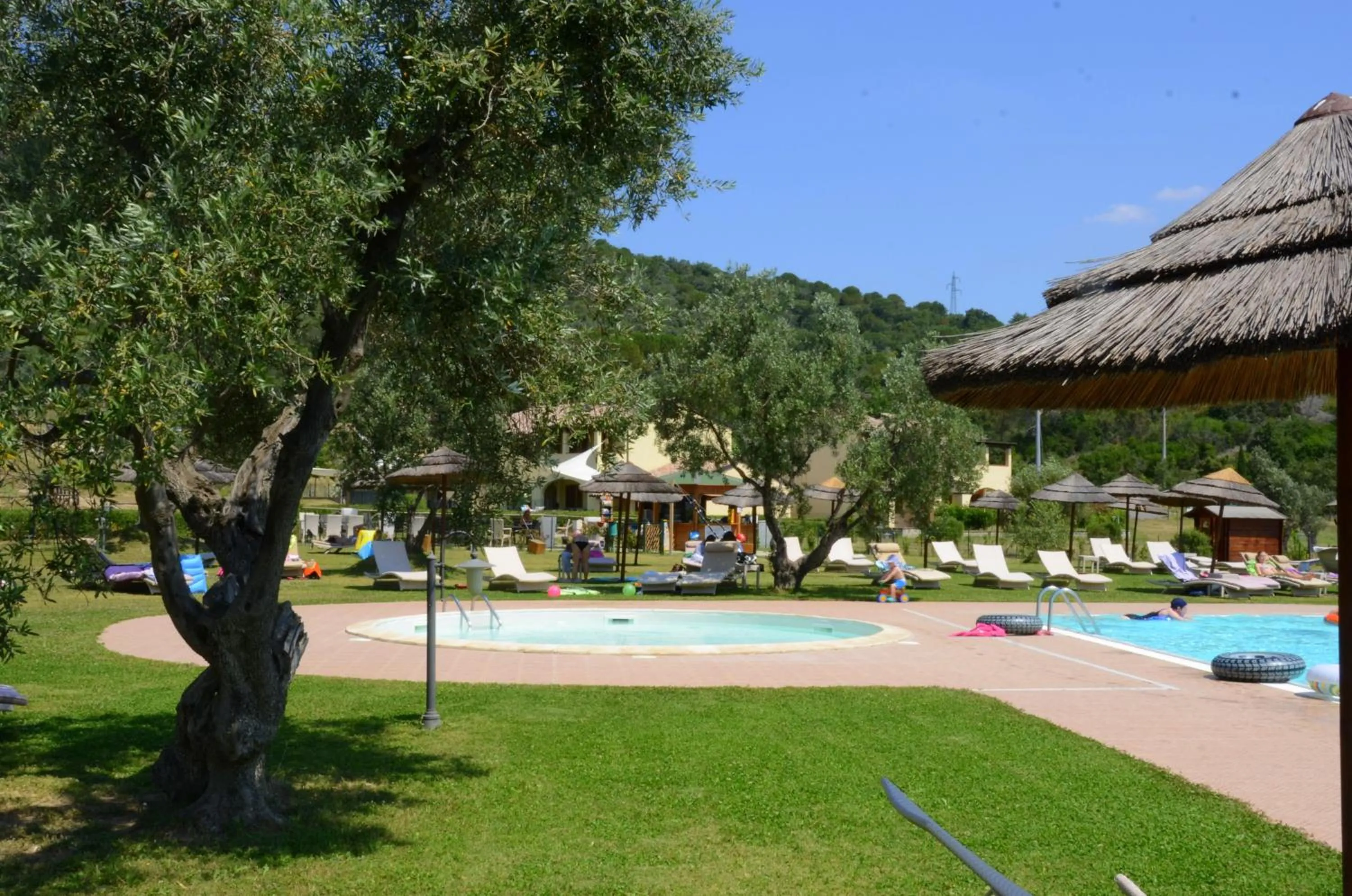 Pool view in Le Corti Di Montepitti