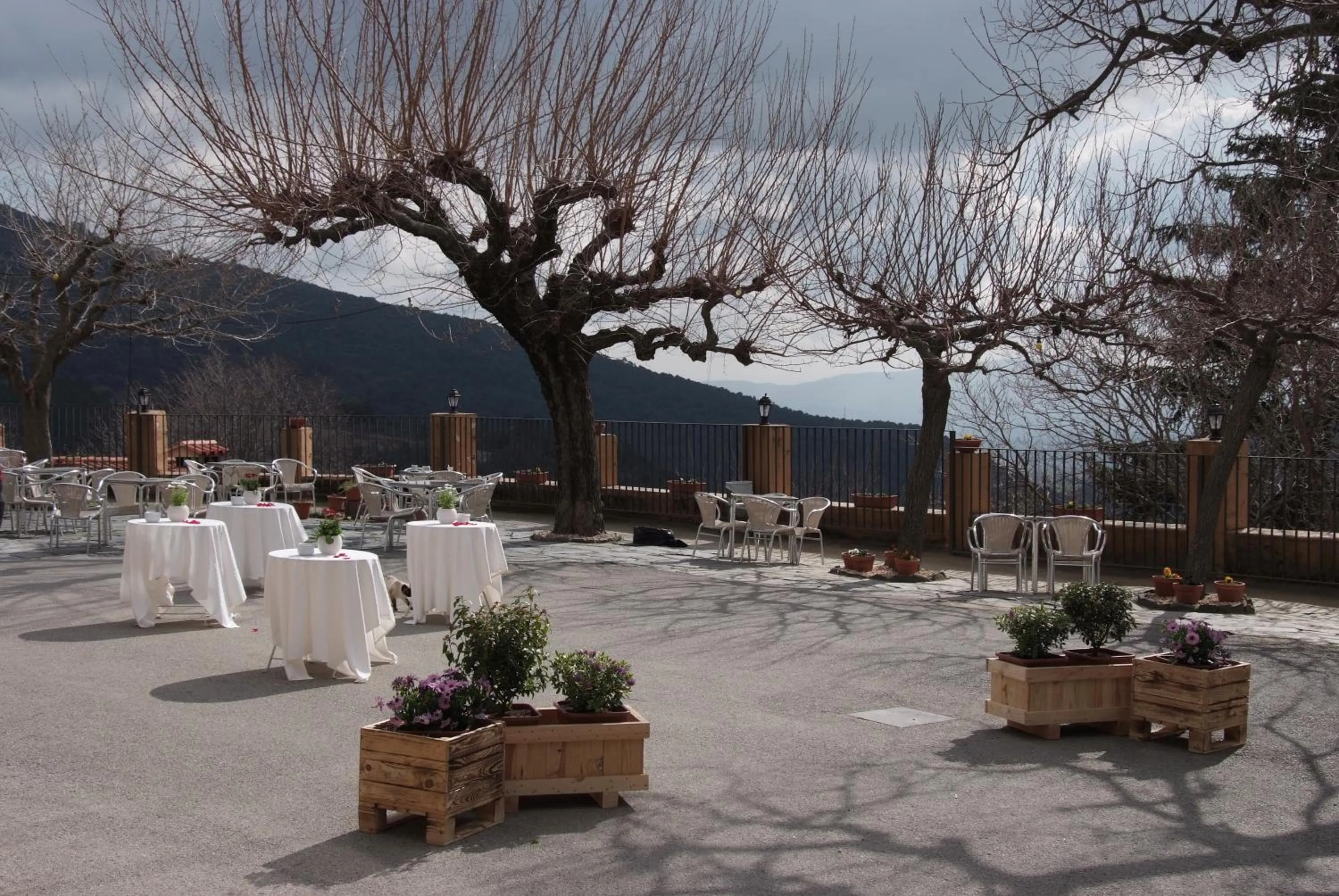 Garden in Hostal Montserrat