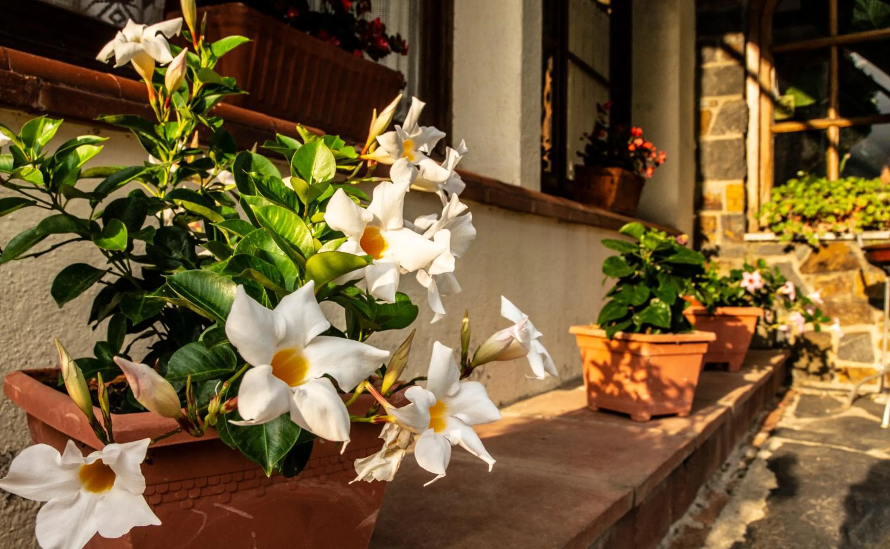 Patio in Hostal Montserrat
