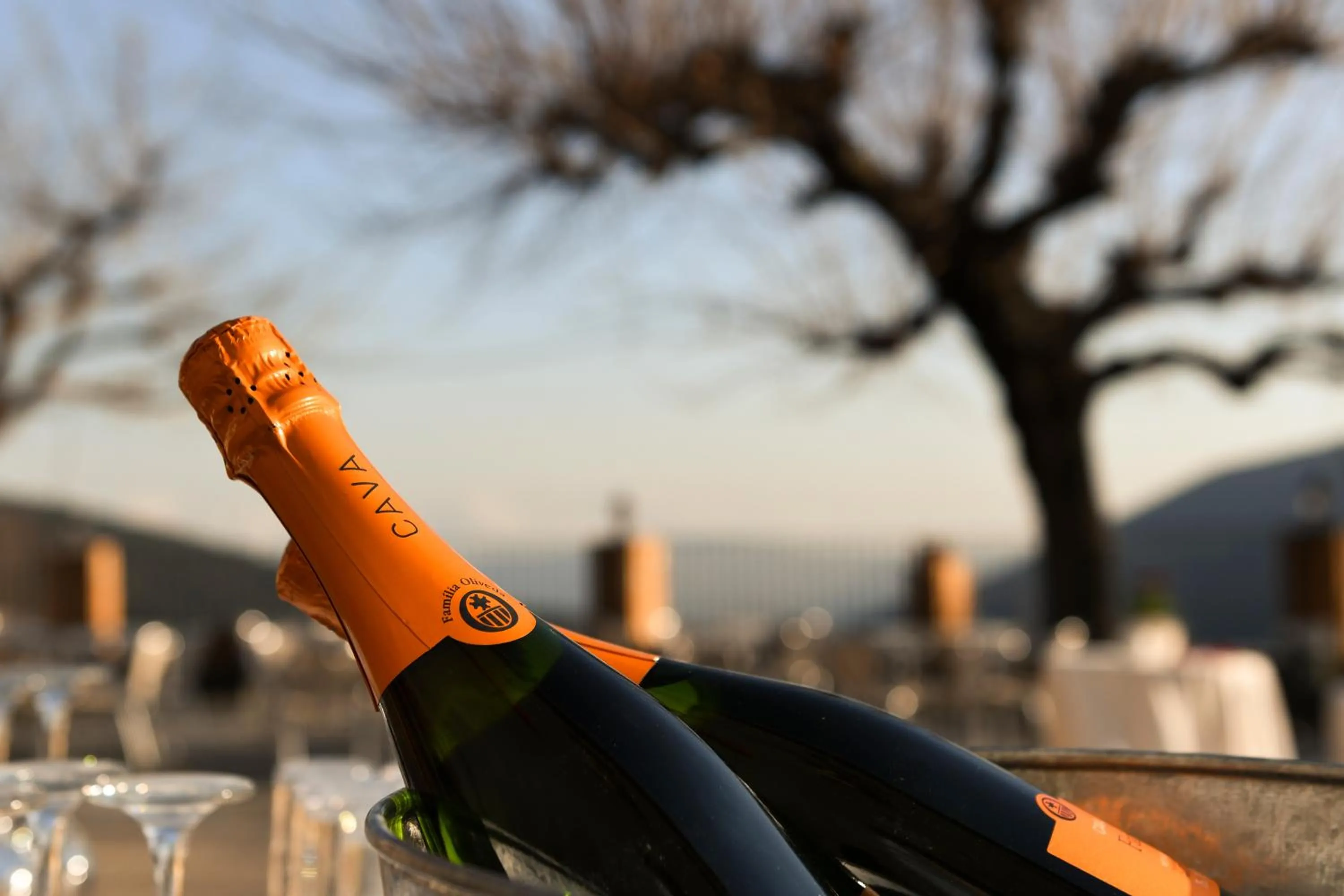 Food and drinks in Hostal Montserrat