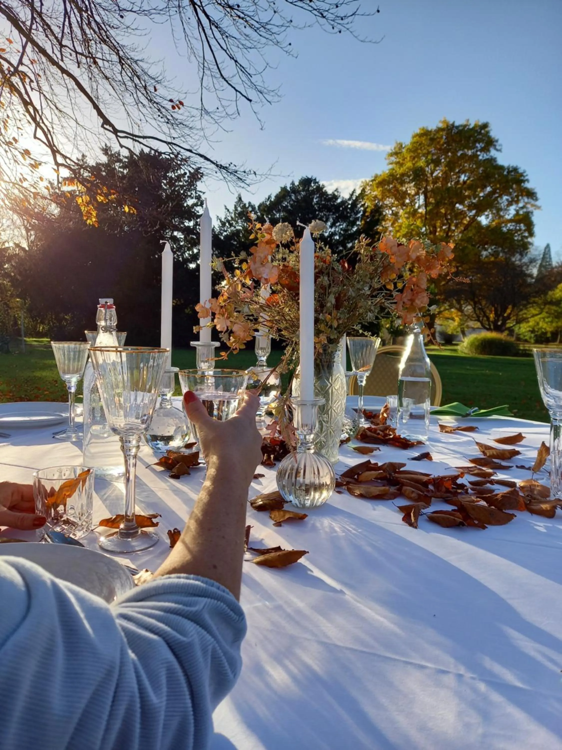 Restaurant/places to eat in Fuglsang Herregaard Hotel