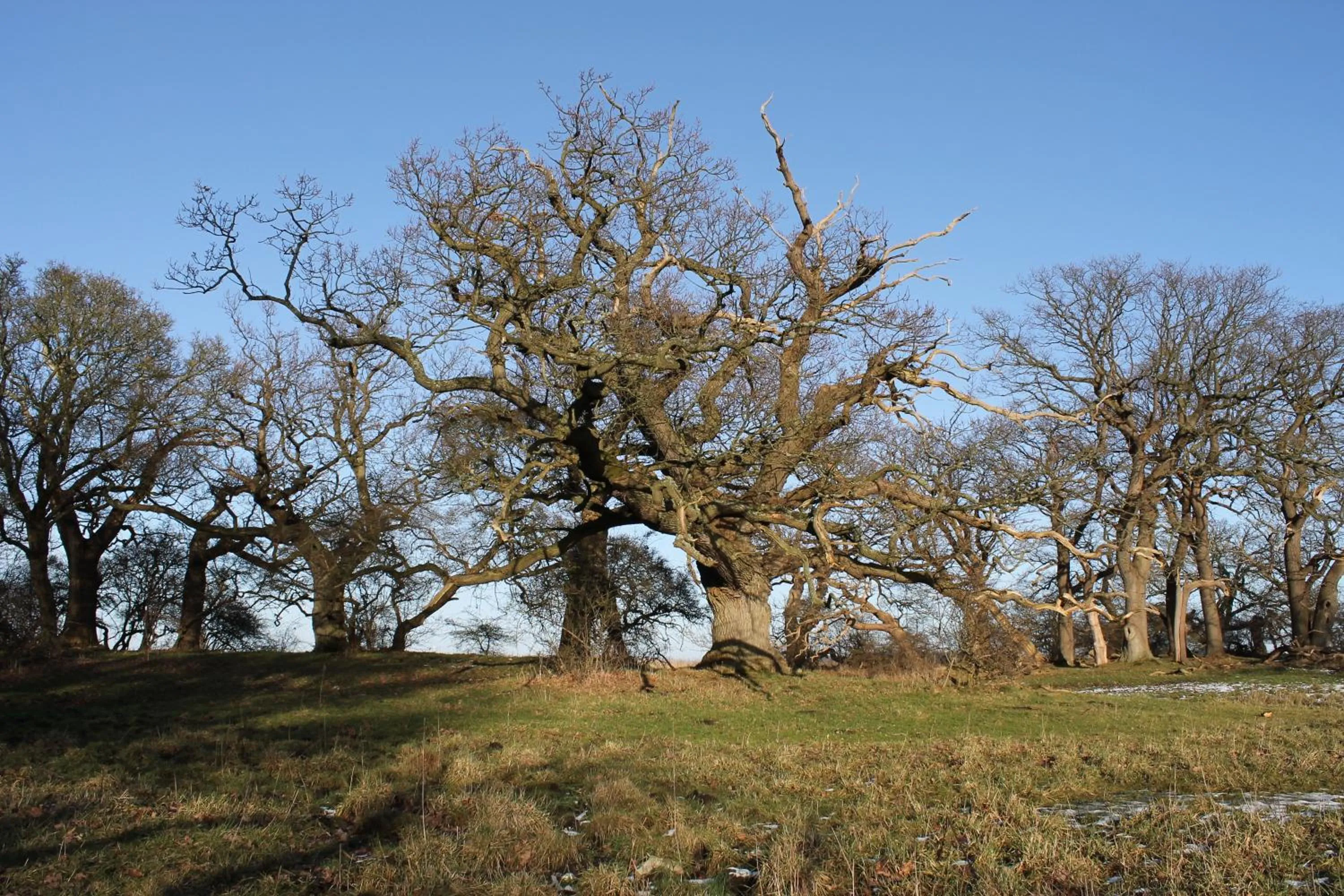 Nearby landmark in Fuglsang Herregaard Hotel