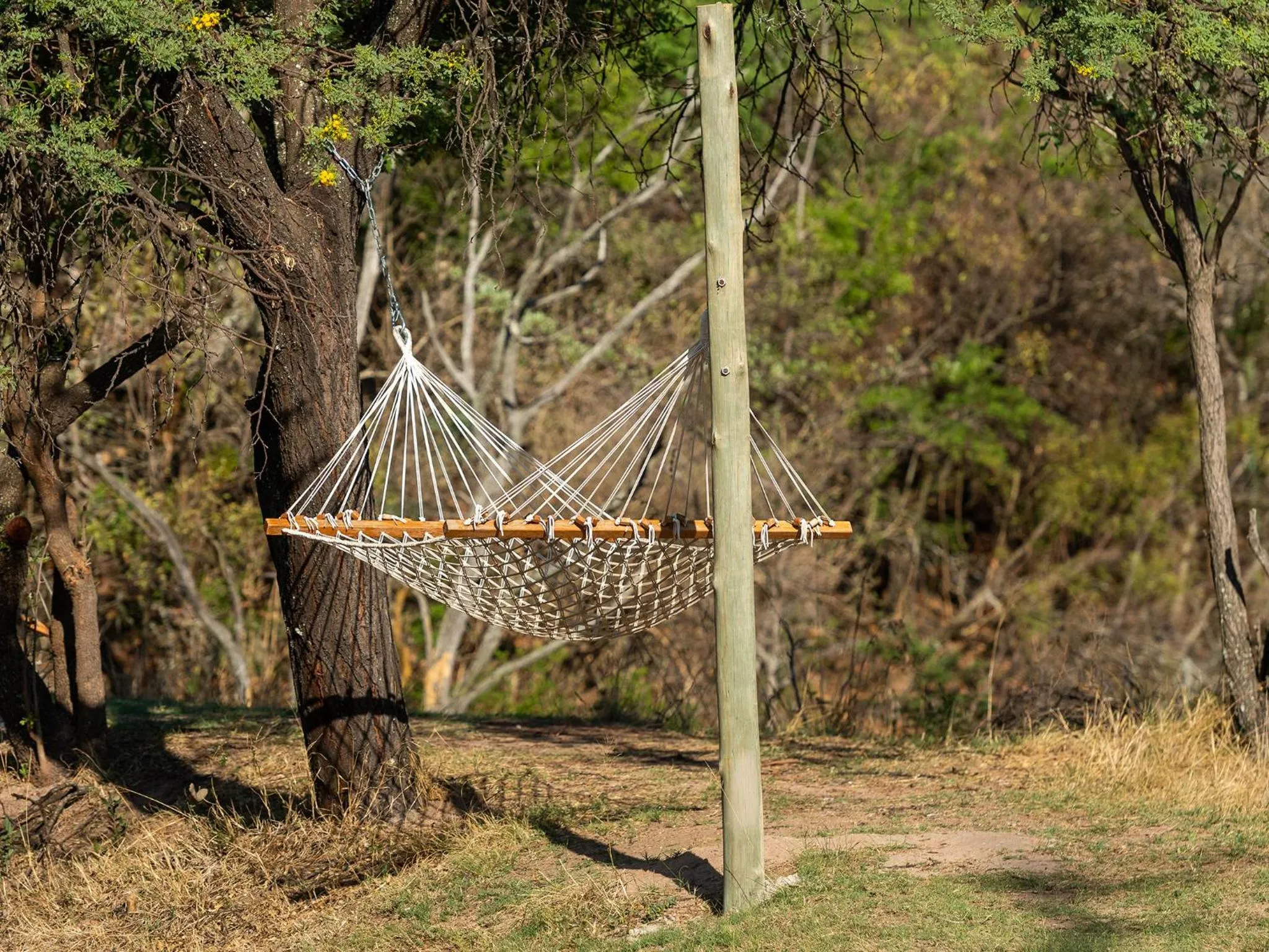 Area and facilities in Waterberg Game Park