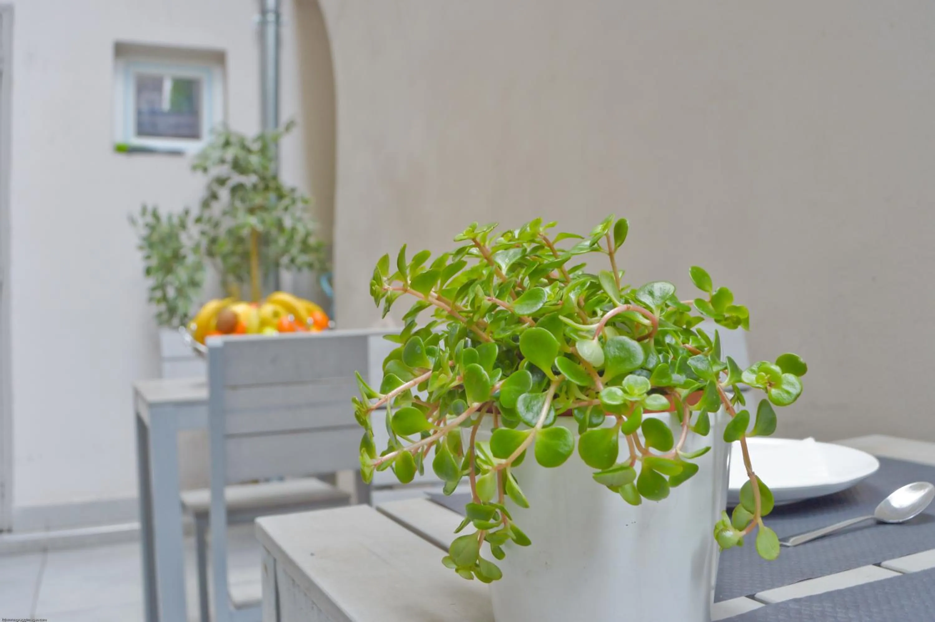 Patio in Hôtel du Quai de Seine
