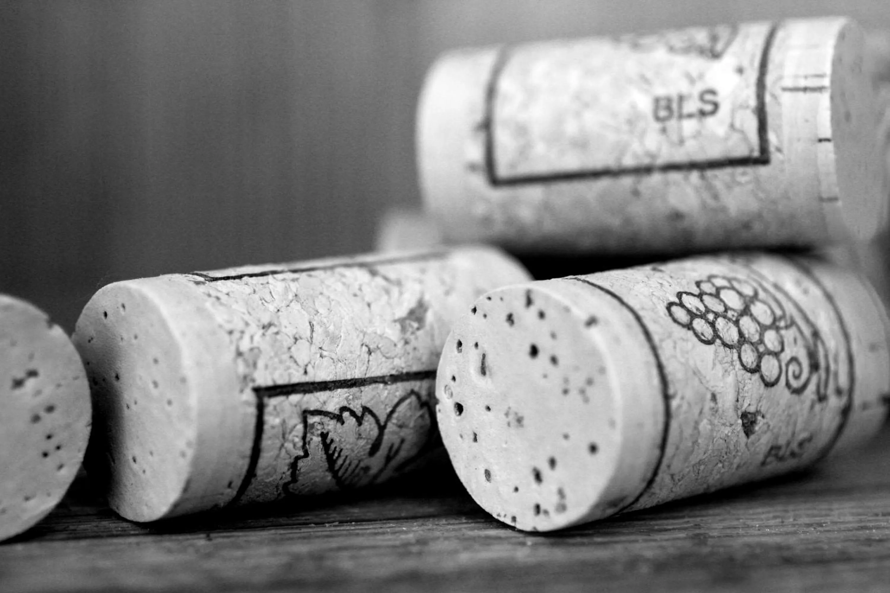 Other in Schnepfenhof