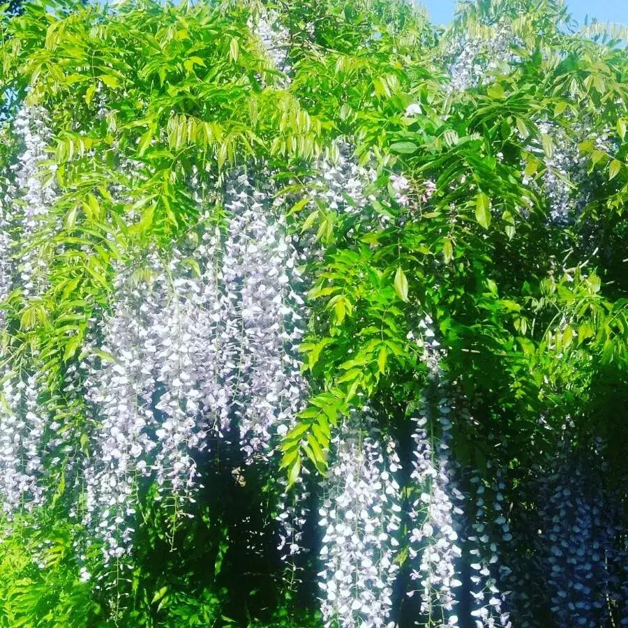 Large Double Room with Private Bathroom in Balally House Large Double Room with Private Bathroom in Balally House