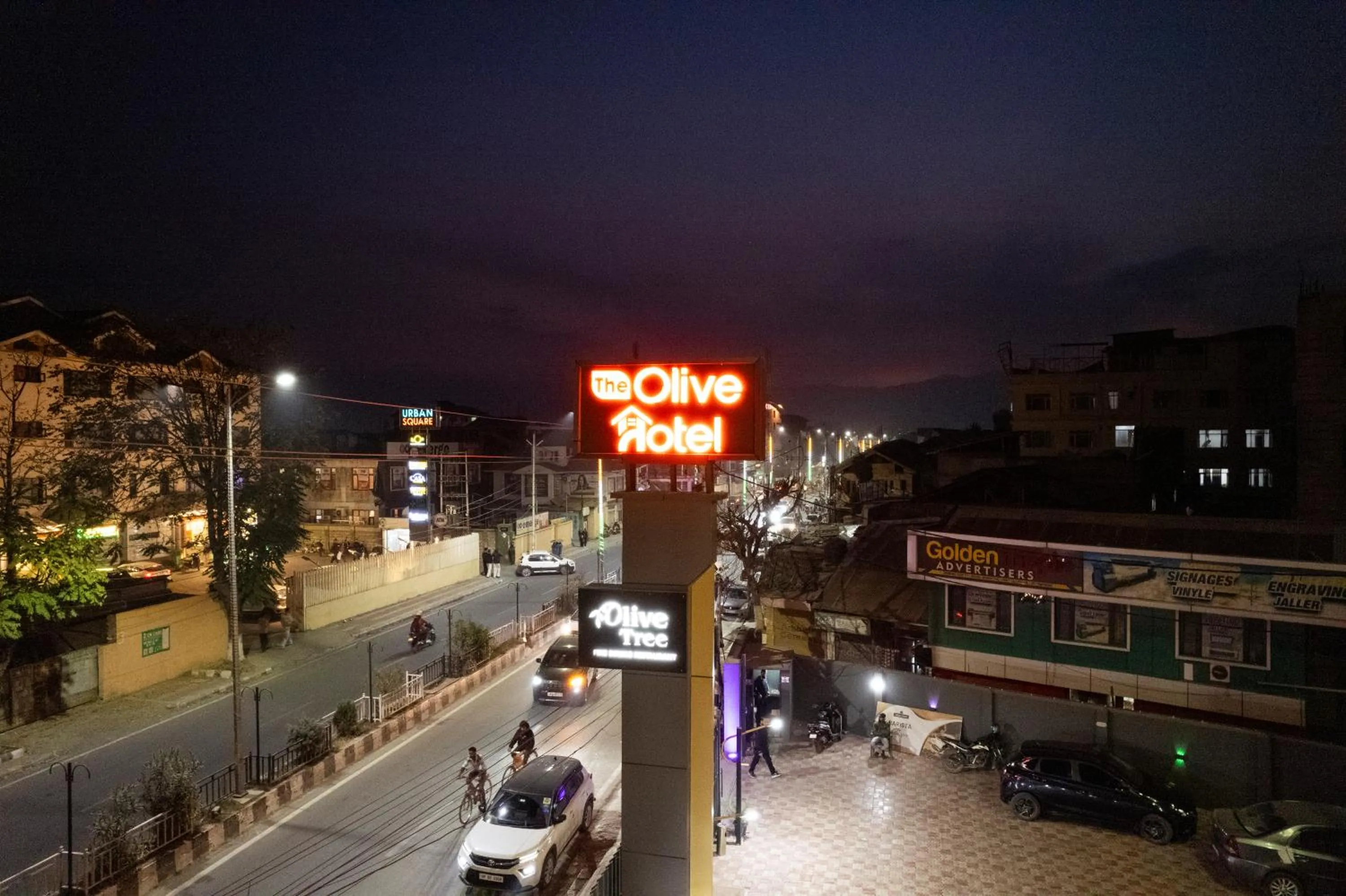 City view in The Olive Hotel Srinagar