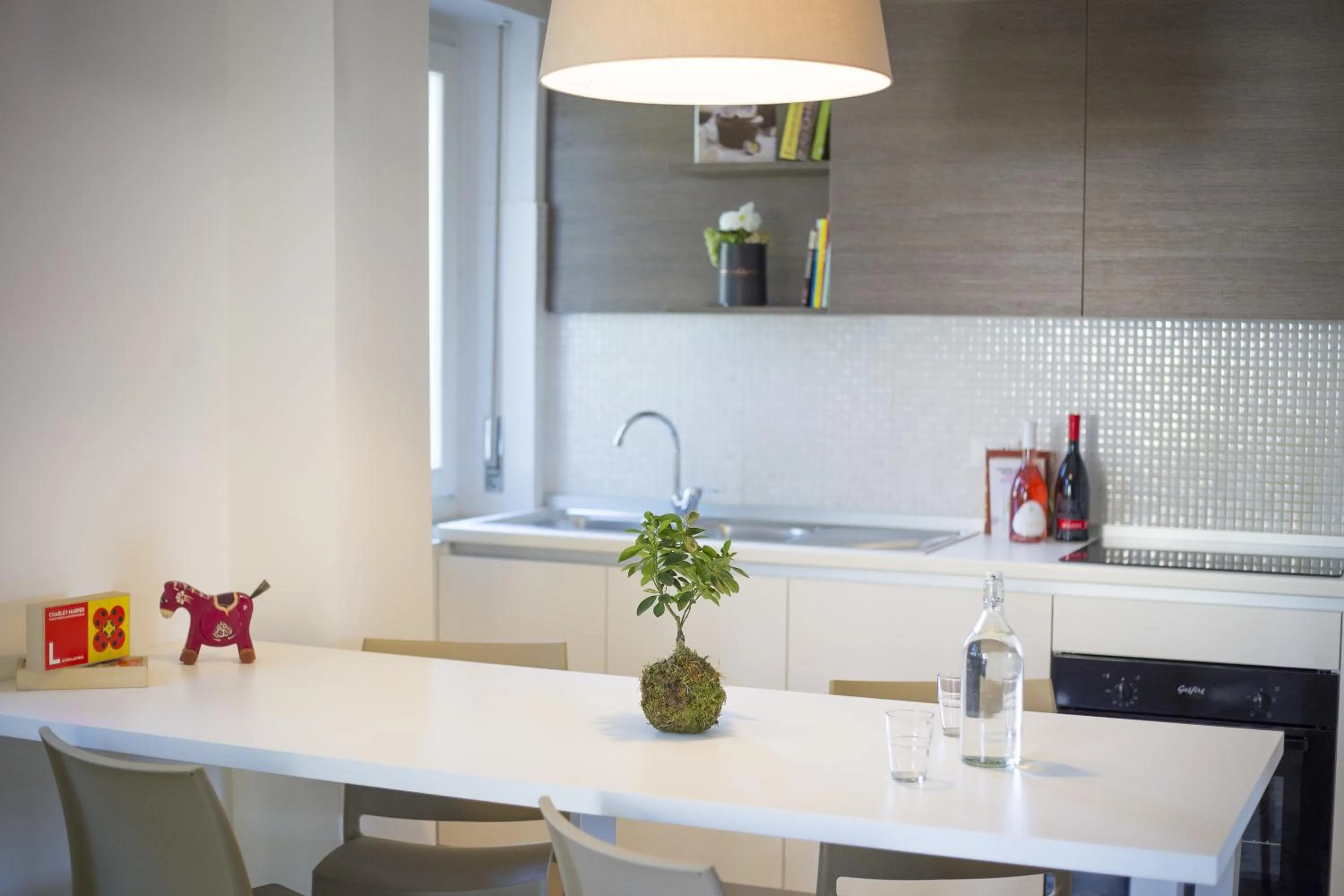 Kitchen or kitchenette in Aurum Aparthotels Gambara