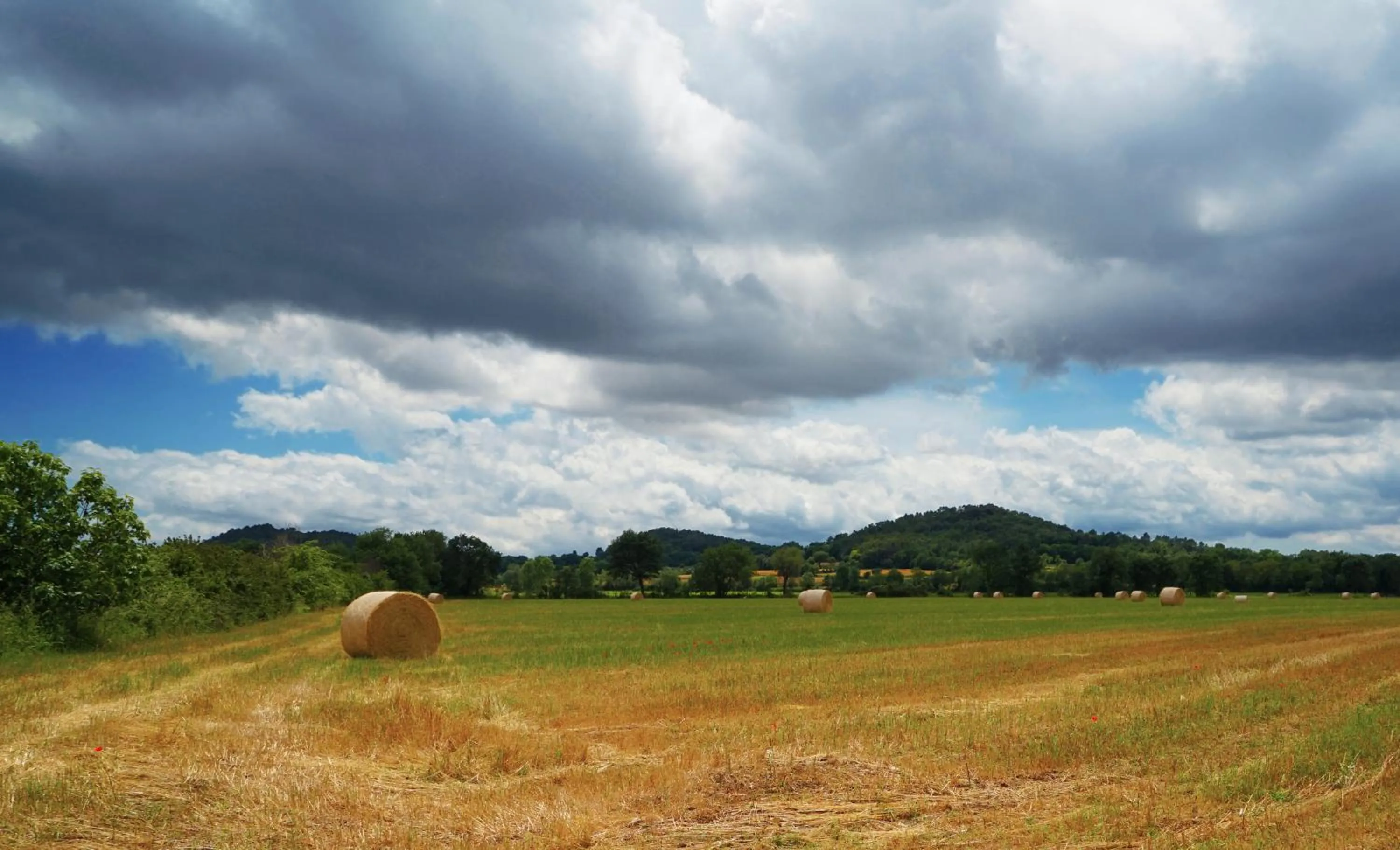 Natural landscape in Encís d'Empordà -Adults Only-