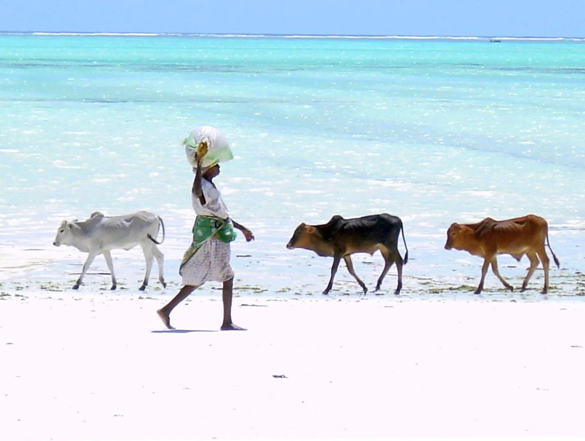 Day in Villa Bahati Zanzibar