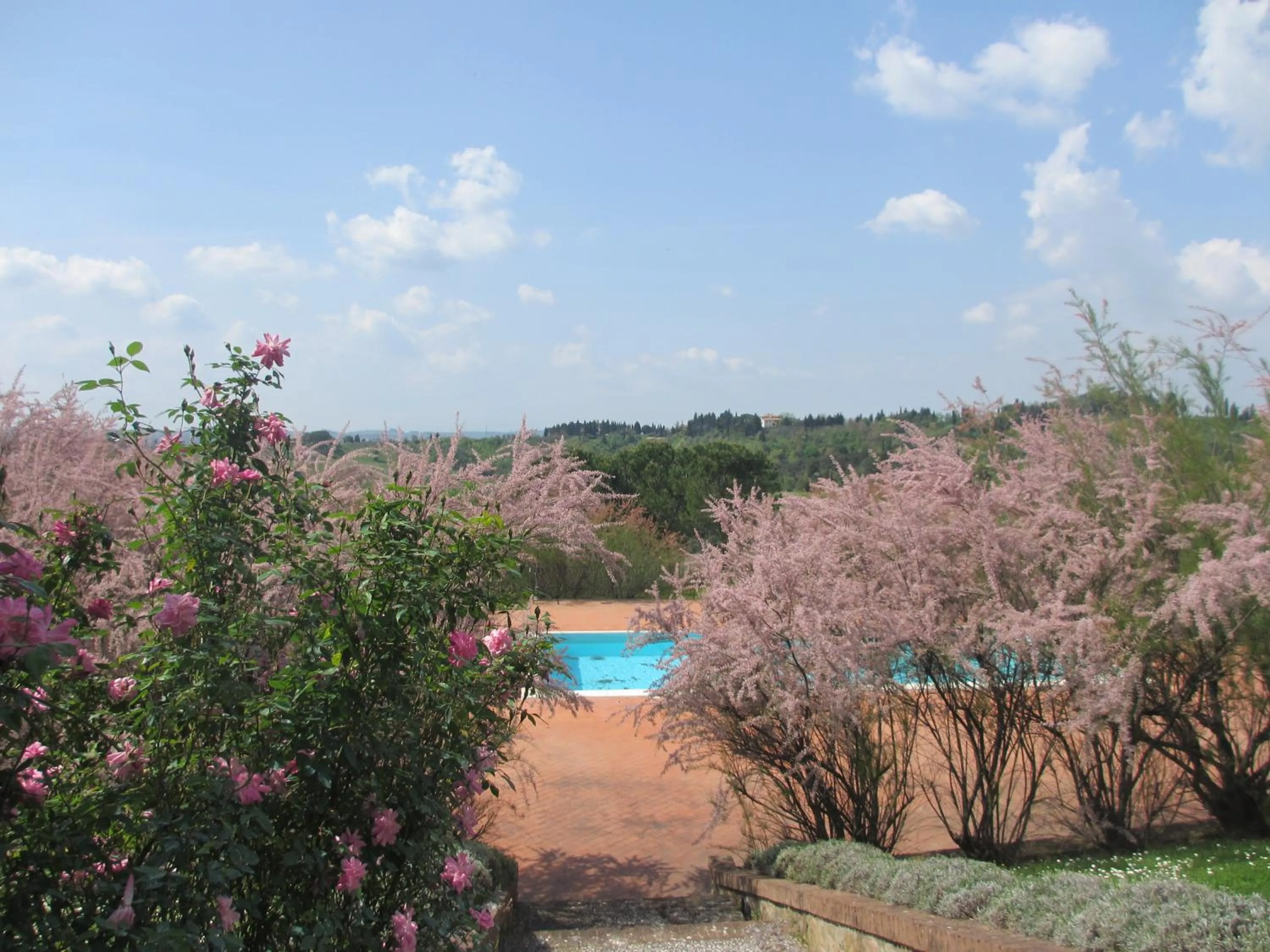 Swimming pool in Locanda le Boscarecce