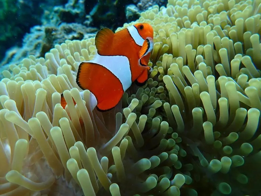 Natural landscape in Shiraho Villa