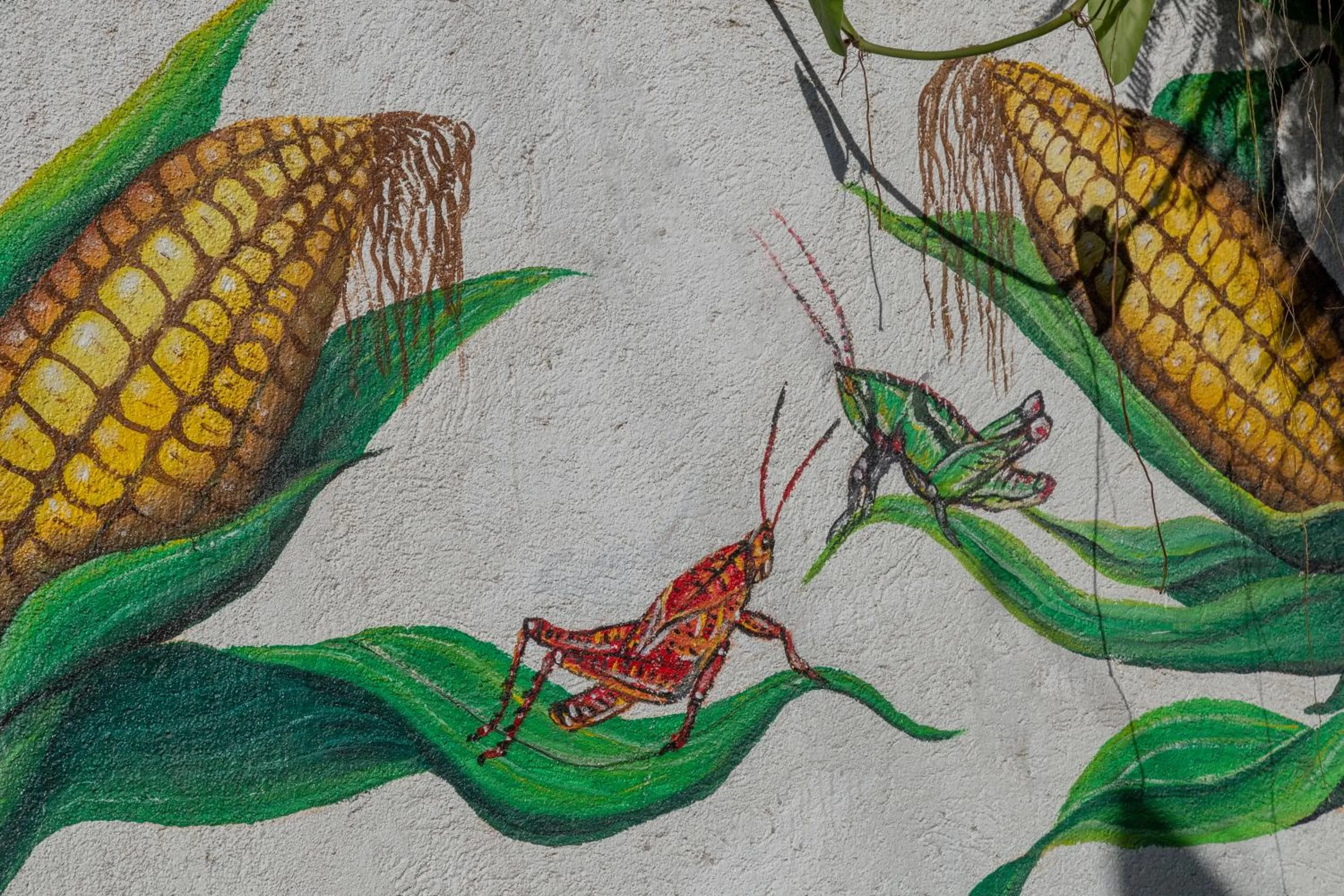 Decorative detail in Hotel Casa Lasibe Café