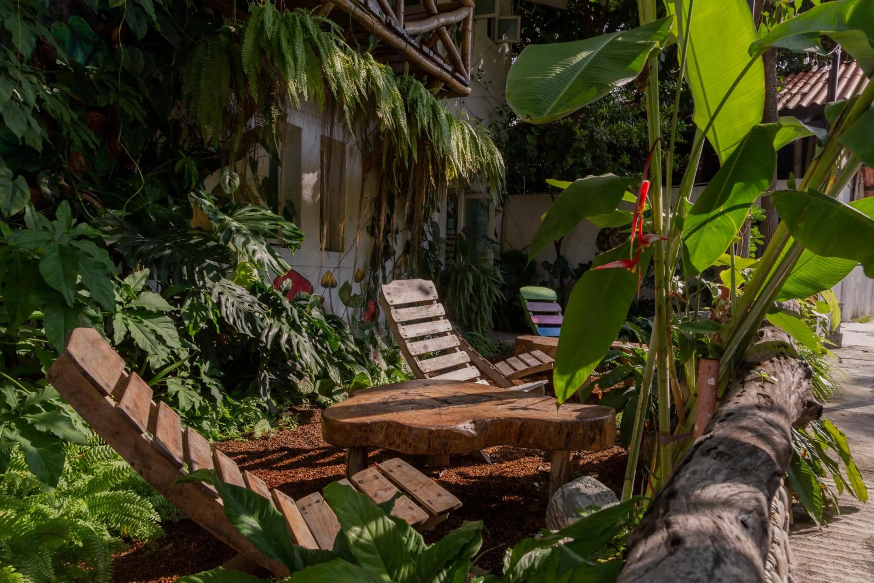 Spring in Hotel Casa Lasibe Café