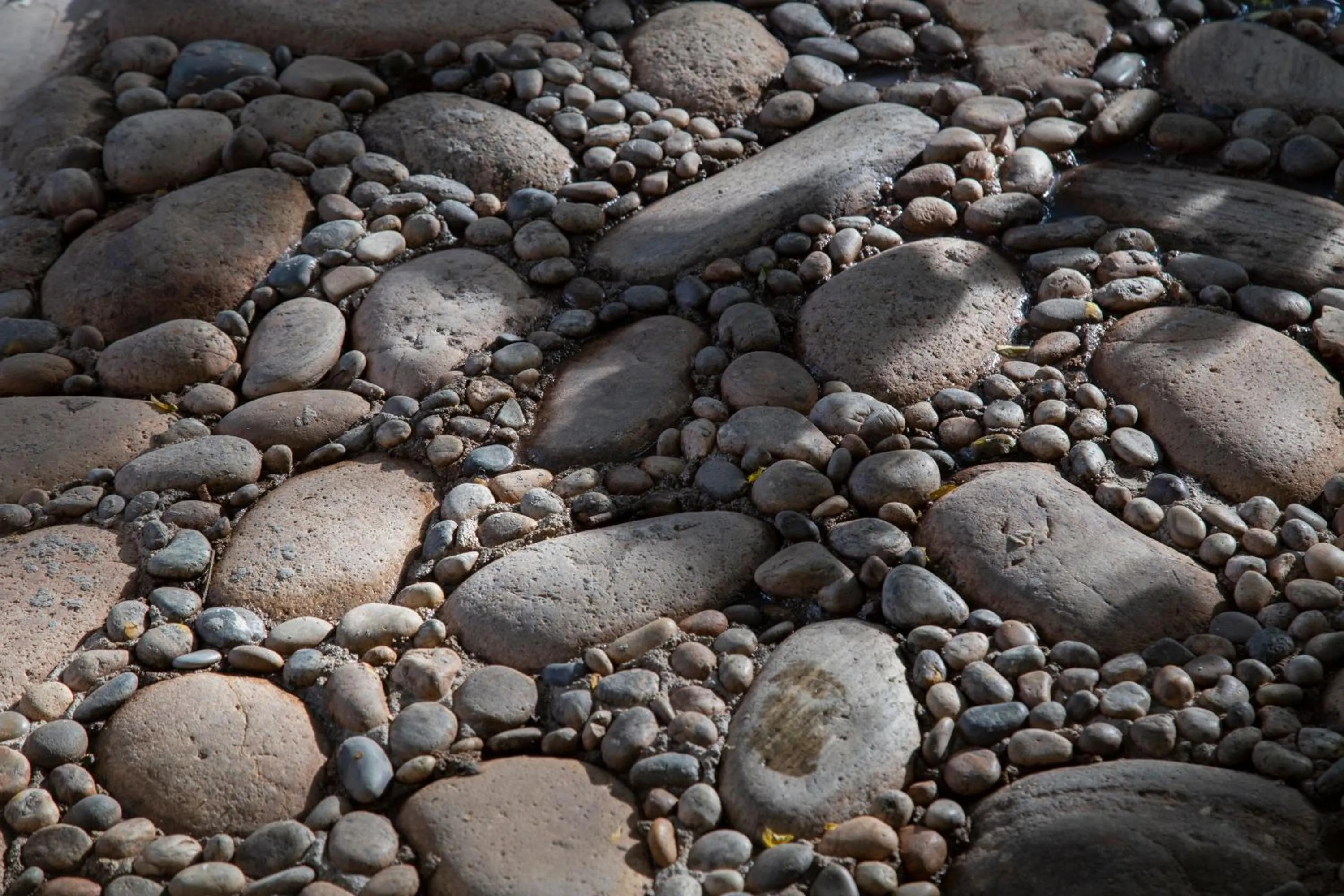 Natural landscape in Hotel Casa Lasibe Café
