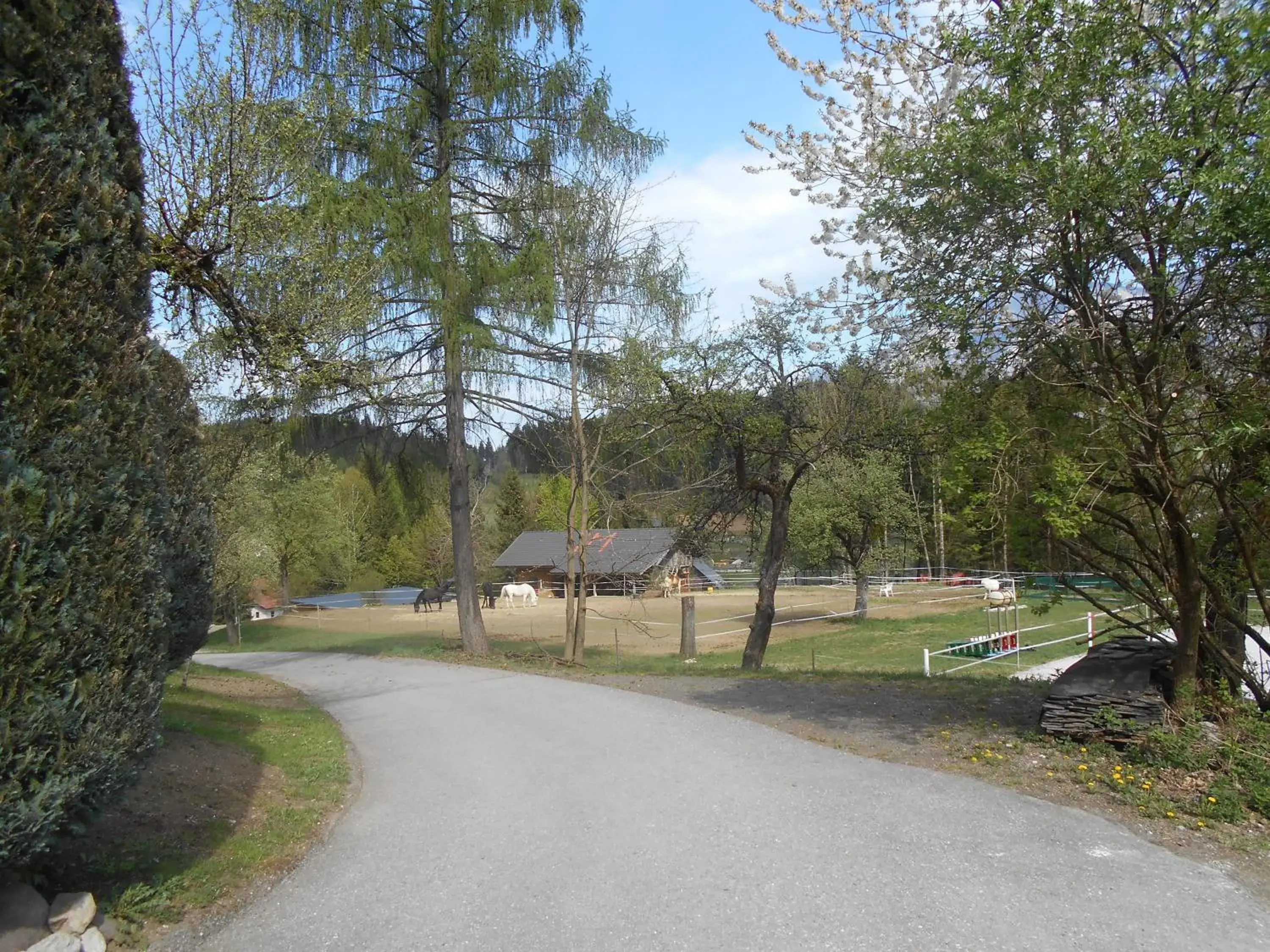 Haus Maria Haus Maria
