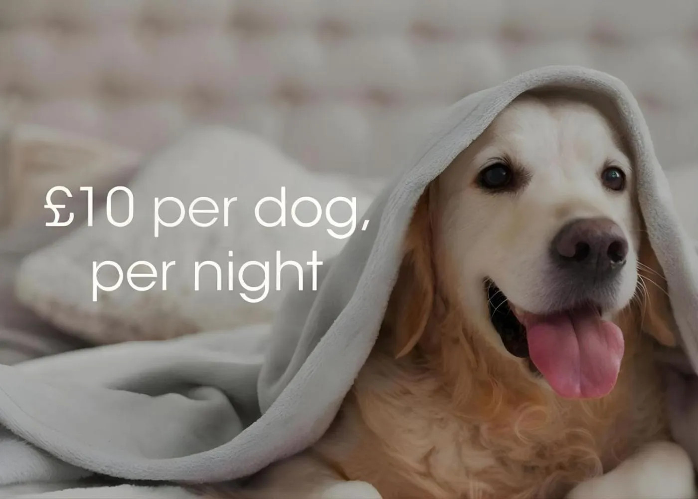 Bedroom in The Valley of Rocks Hotel